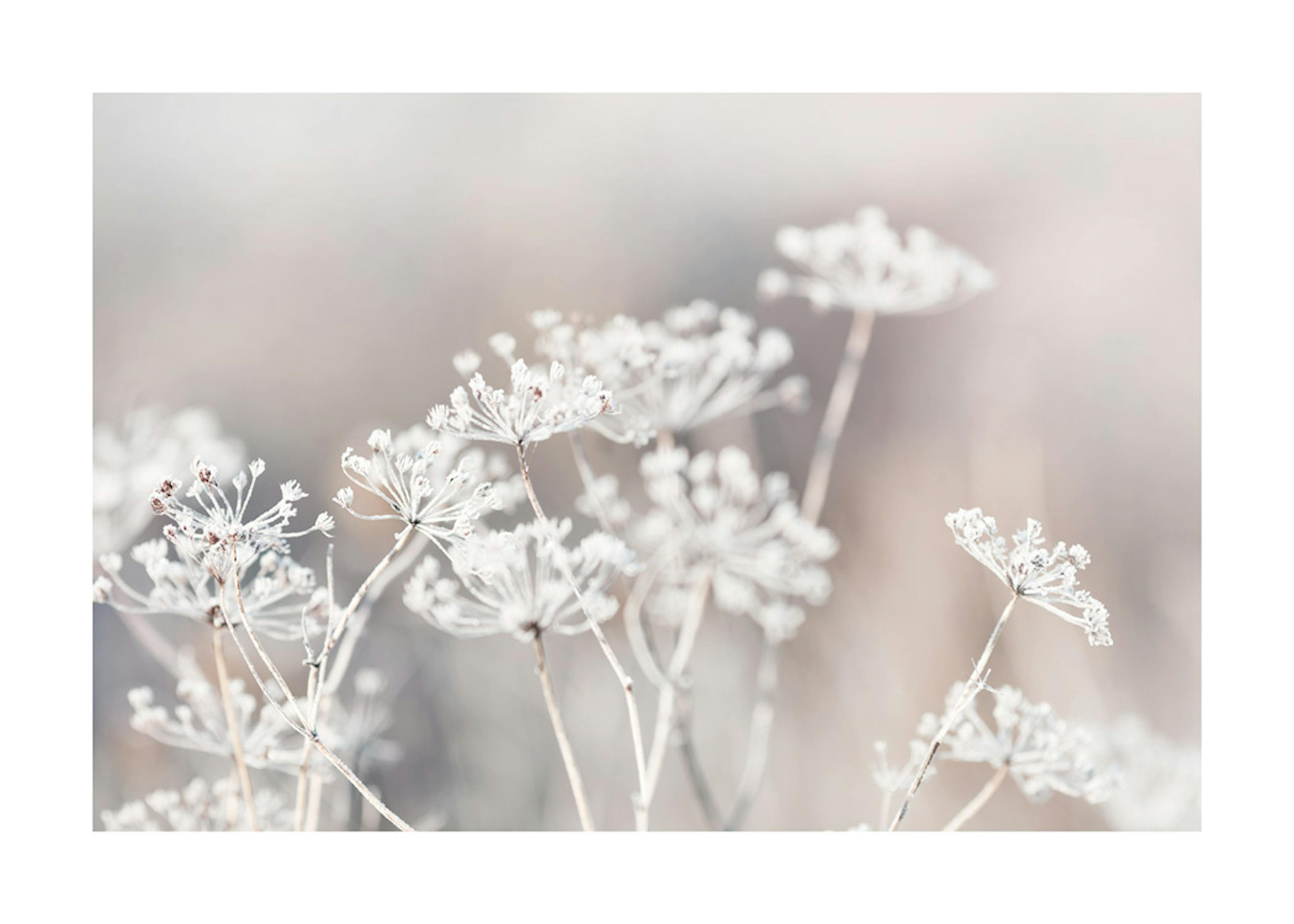 Frozen Botanical Poster 0