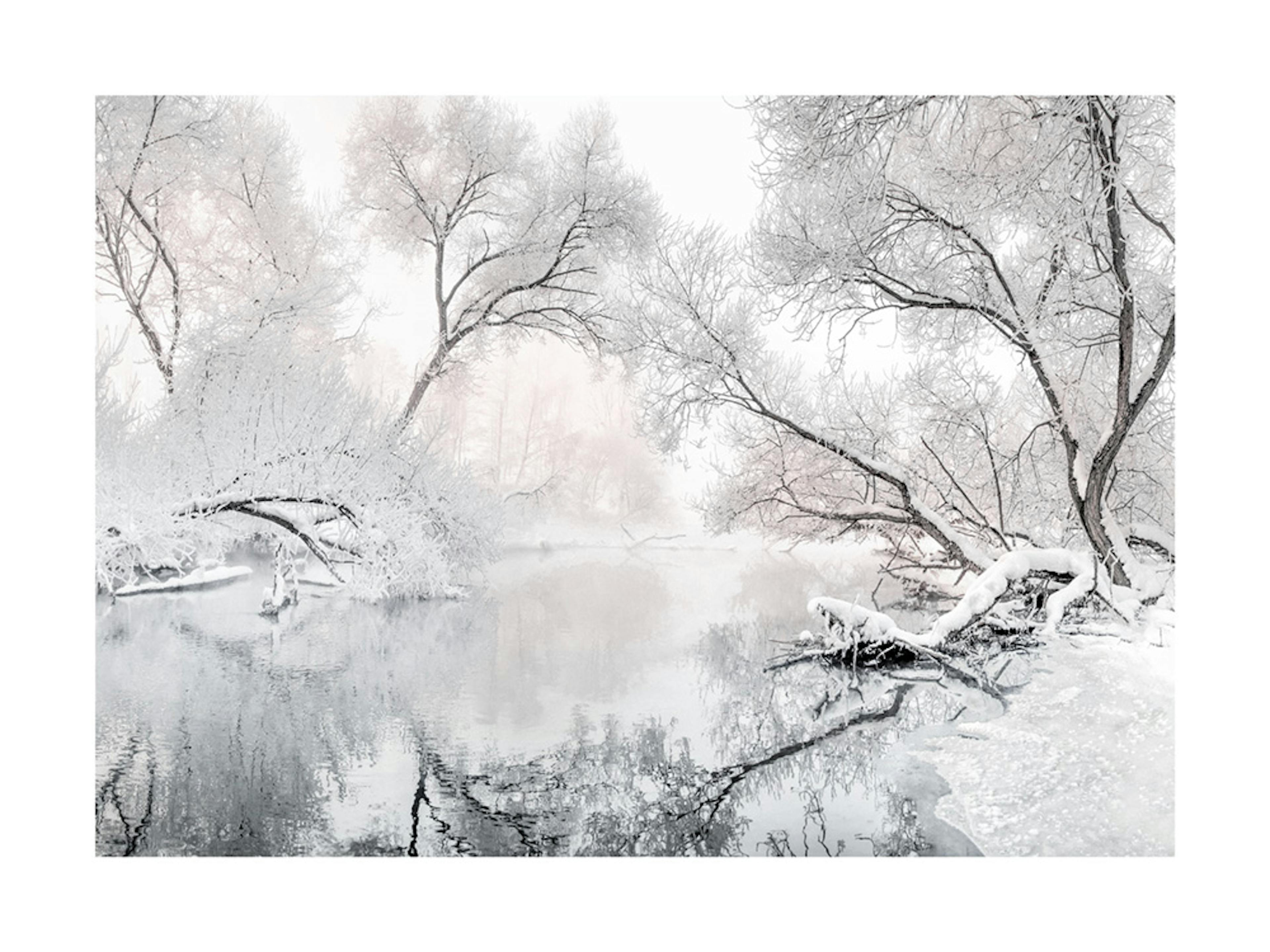 Frozen Lake Affiche