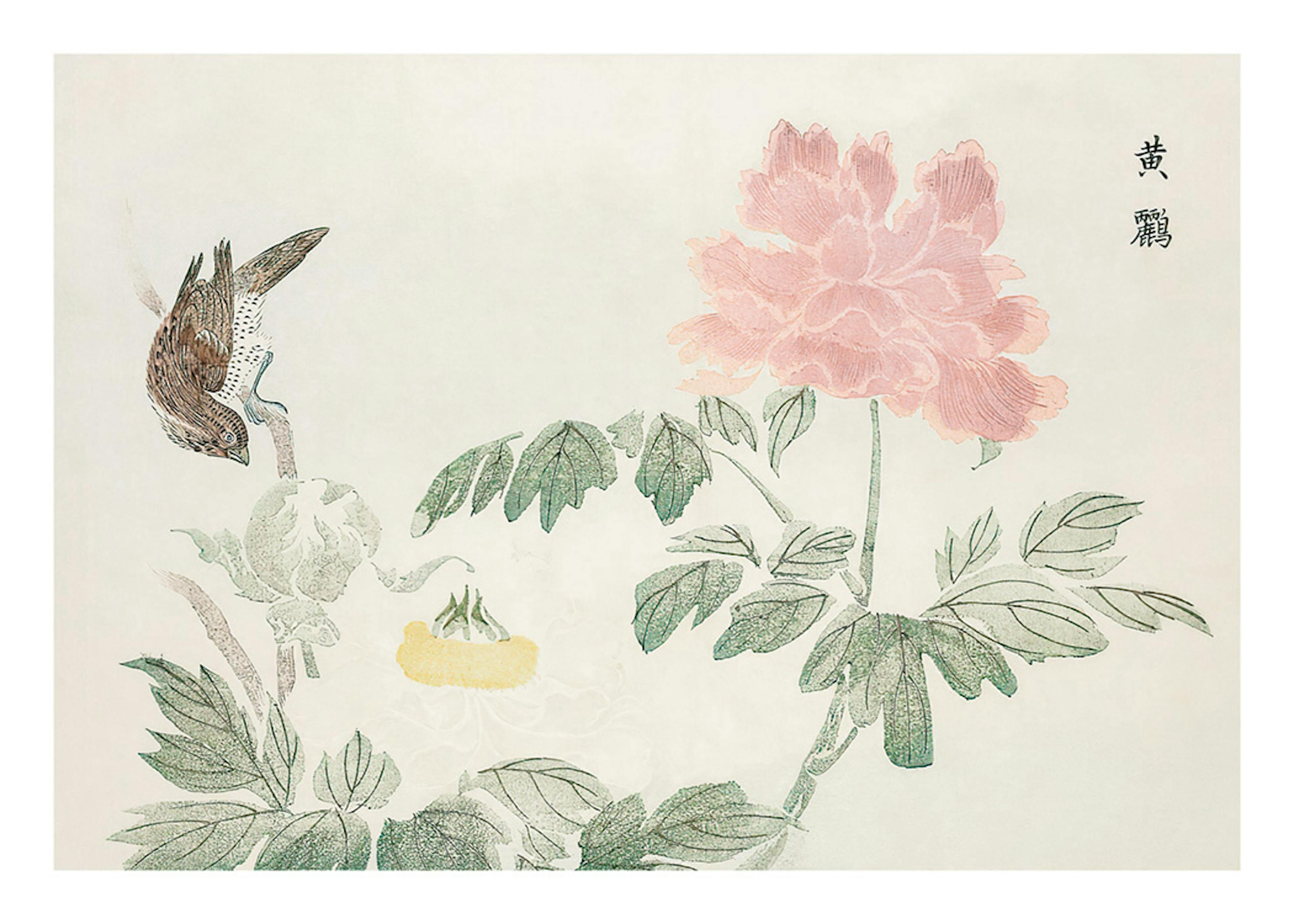 Chinese Peony Poster 0