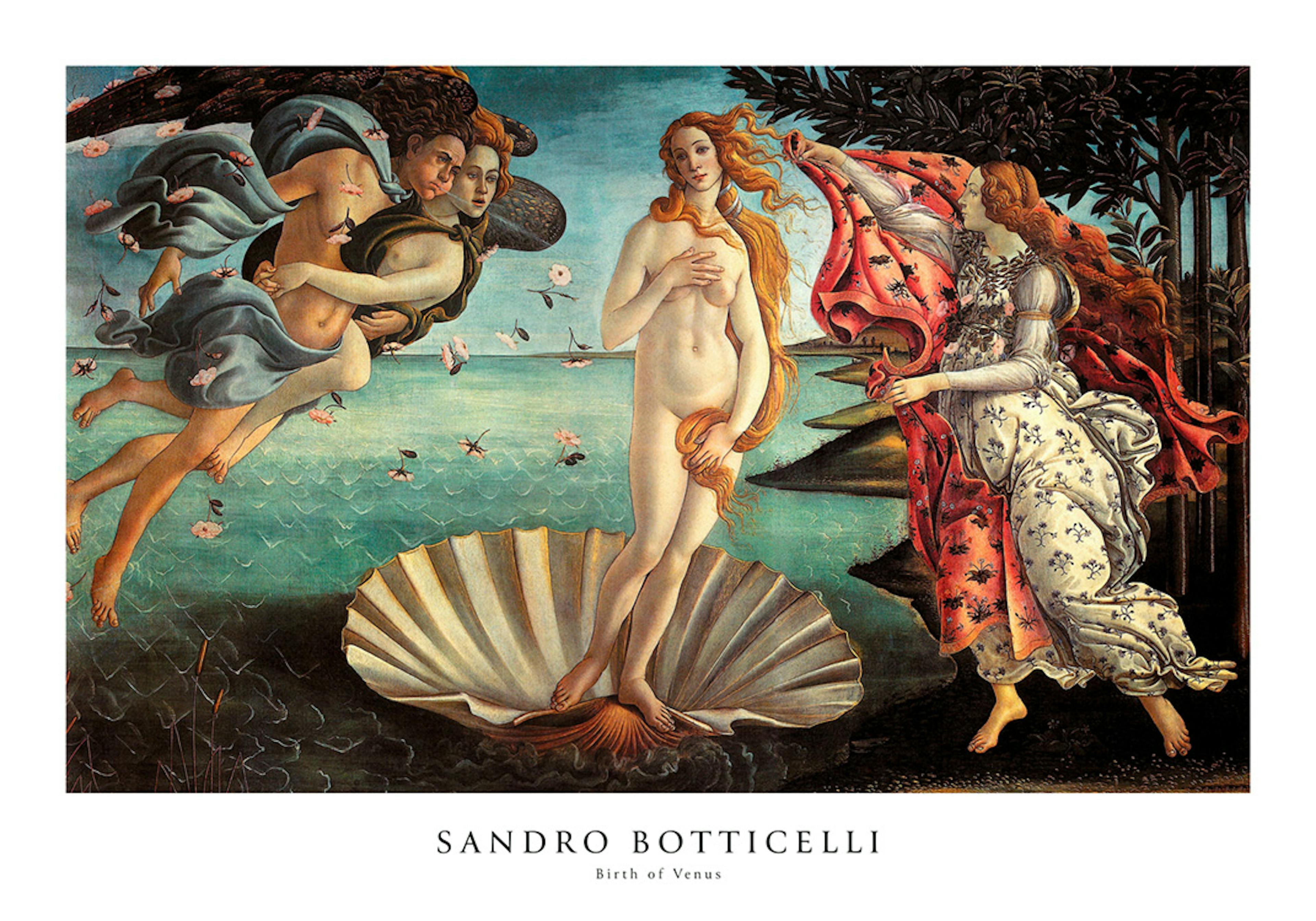 Sandro Botticelli - Birth of Venus Print 0