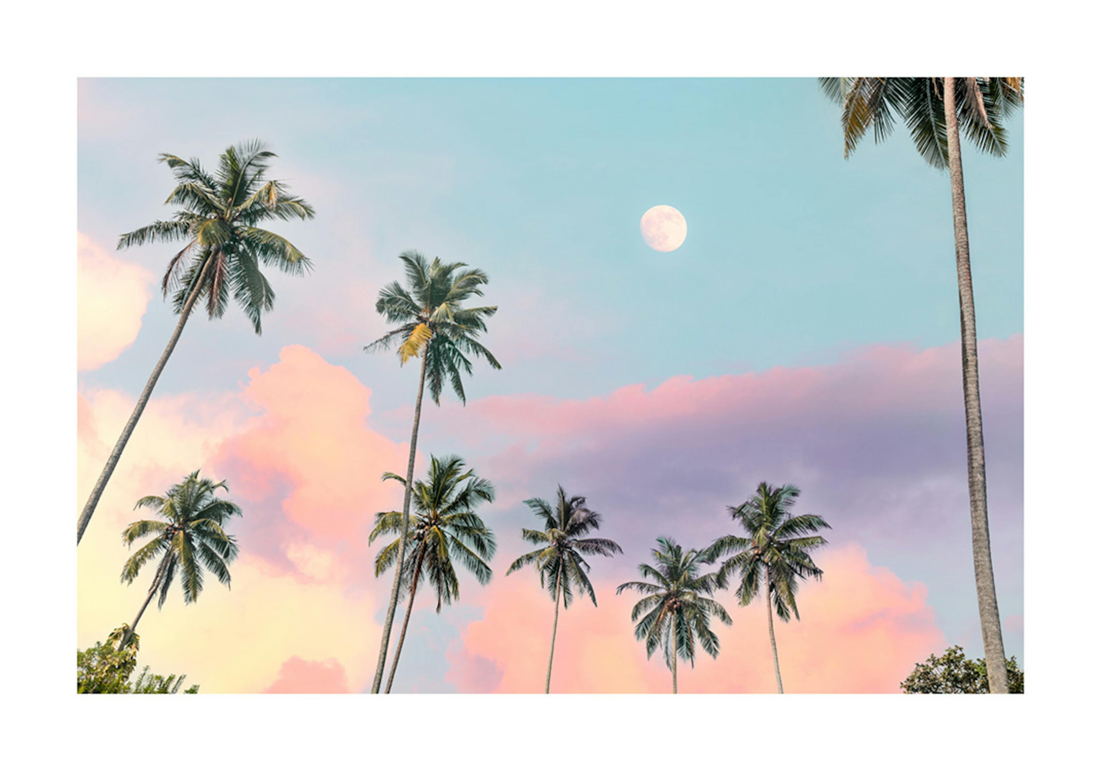 California Sky Affiche 0