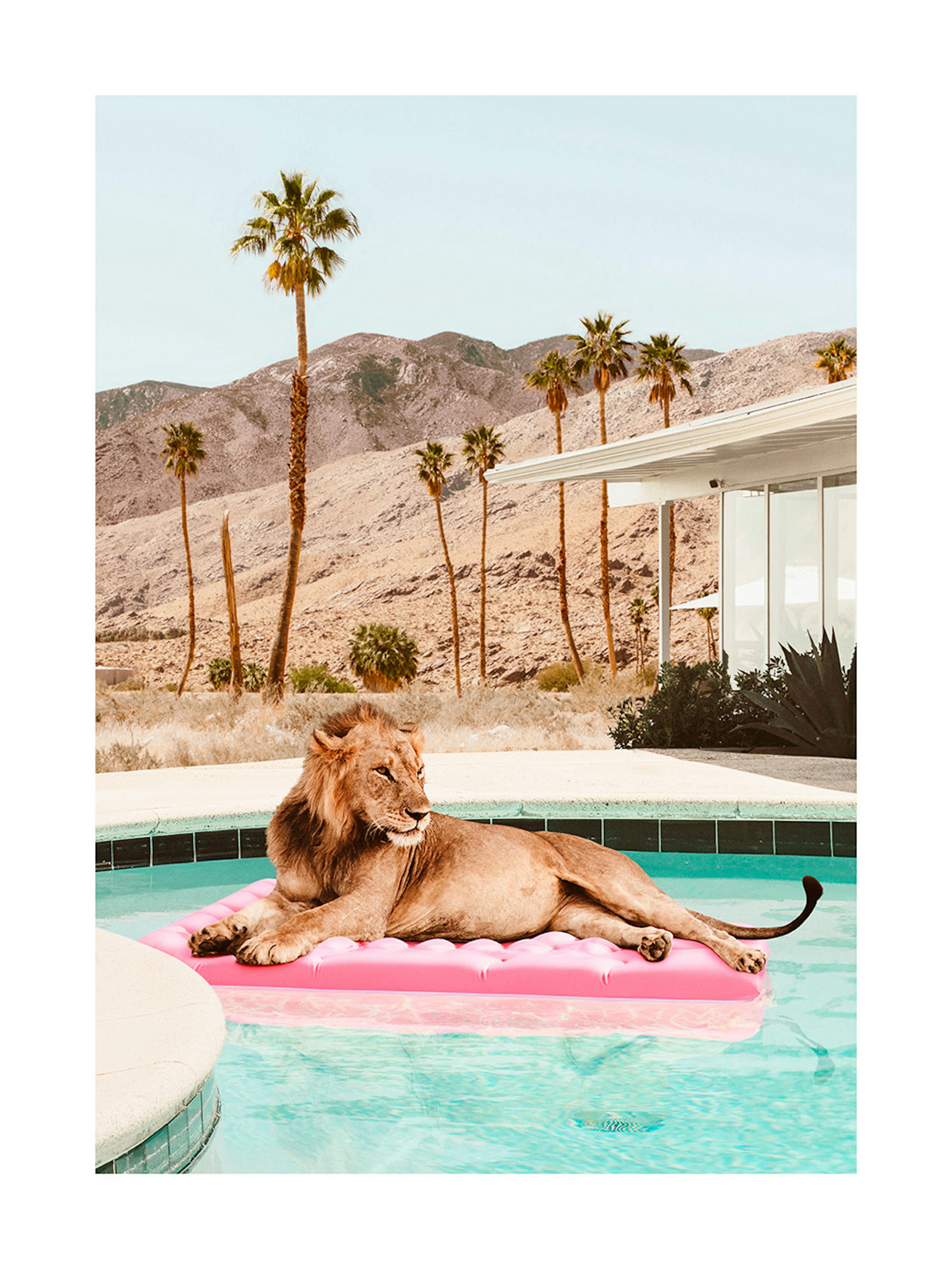 Sunbathing Lion Poster