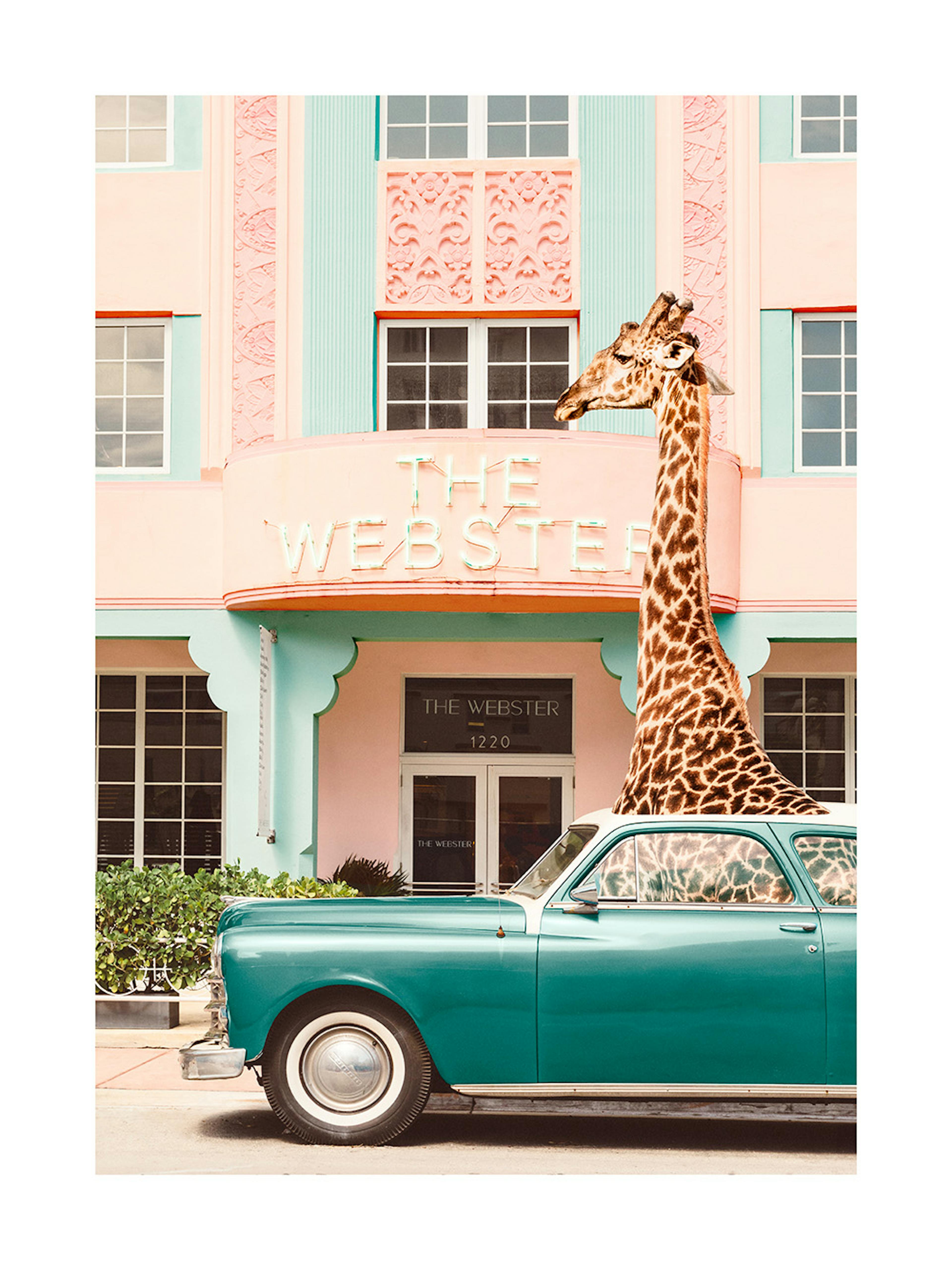 Giraffe Parking Print