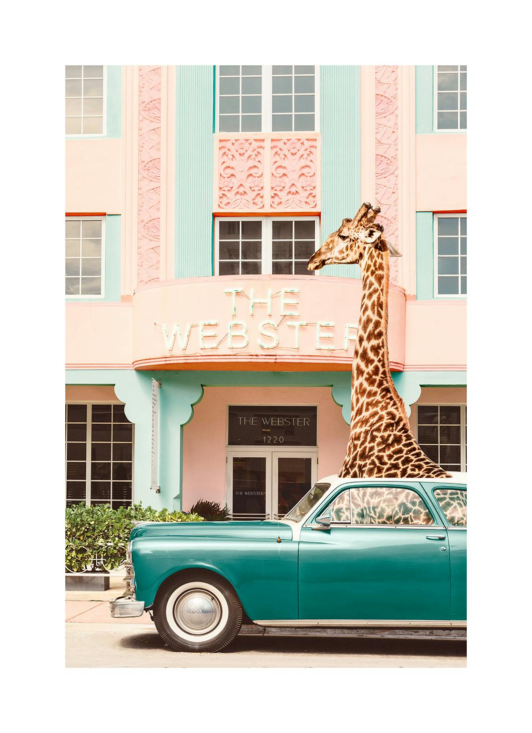 Giraffe Parking Poster (50x70 cm) - Fotokunst