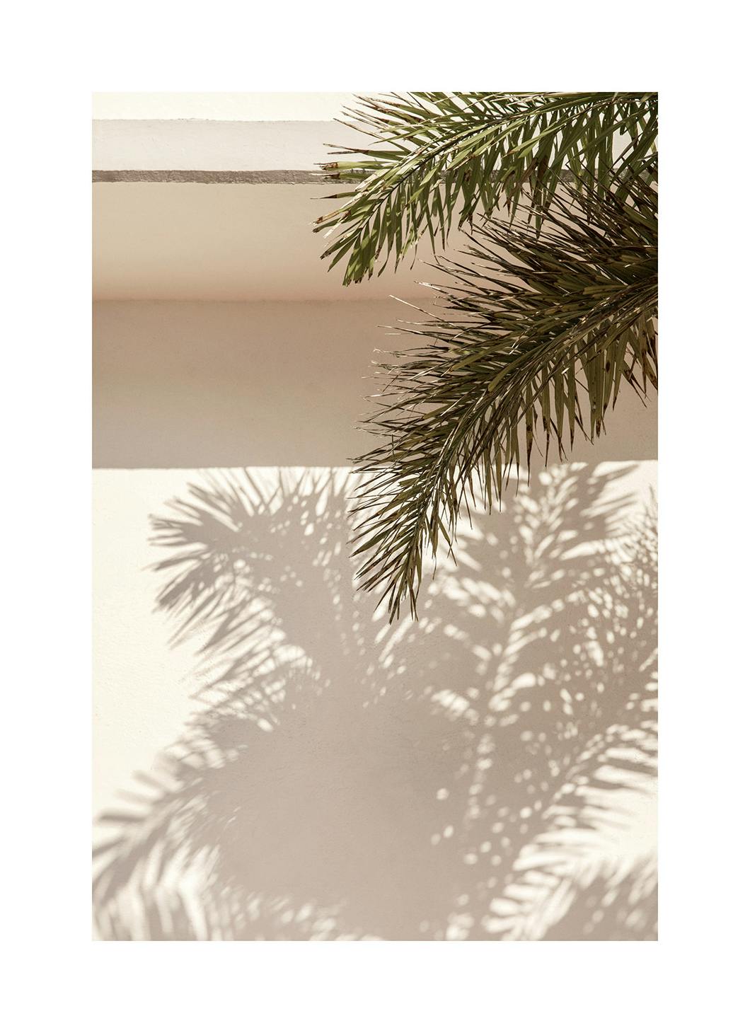 Palm Leaf Shadows Poster (30x40 cm)