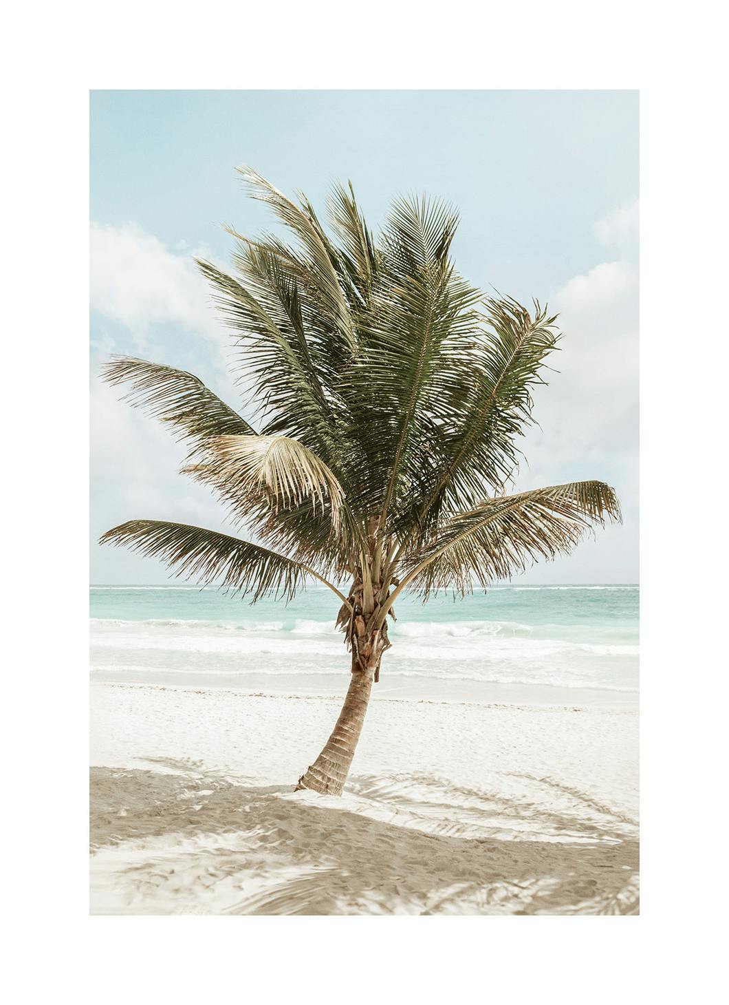 Palm in the Breeze Poster (30x40 cm)