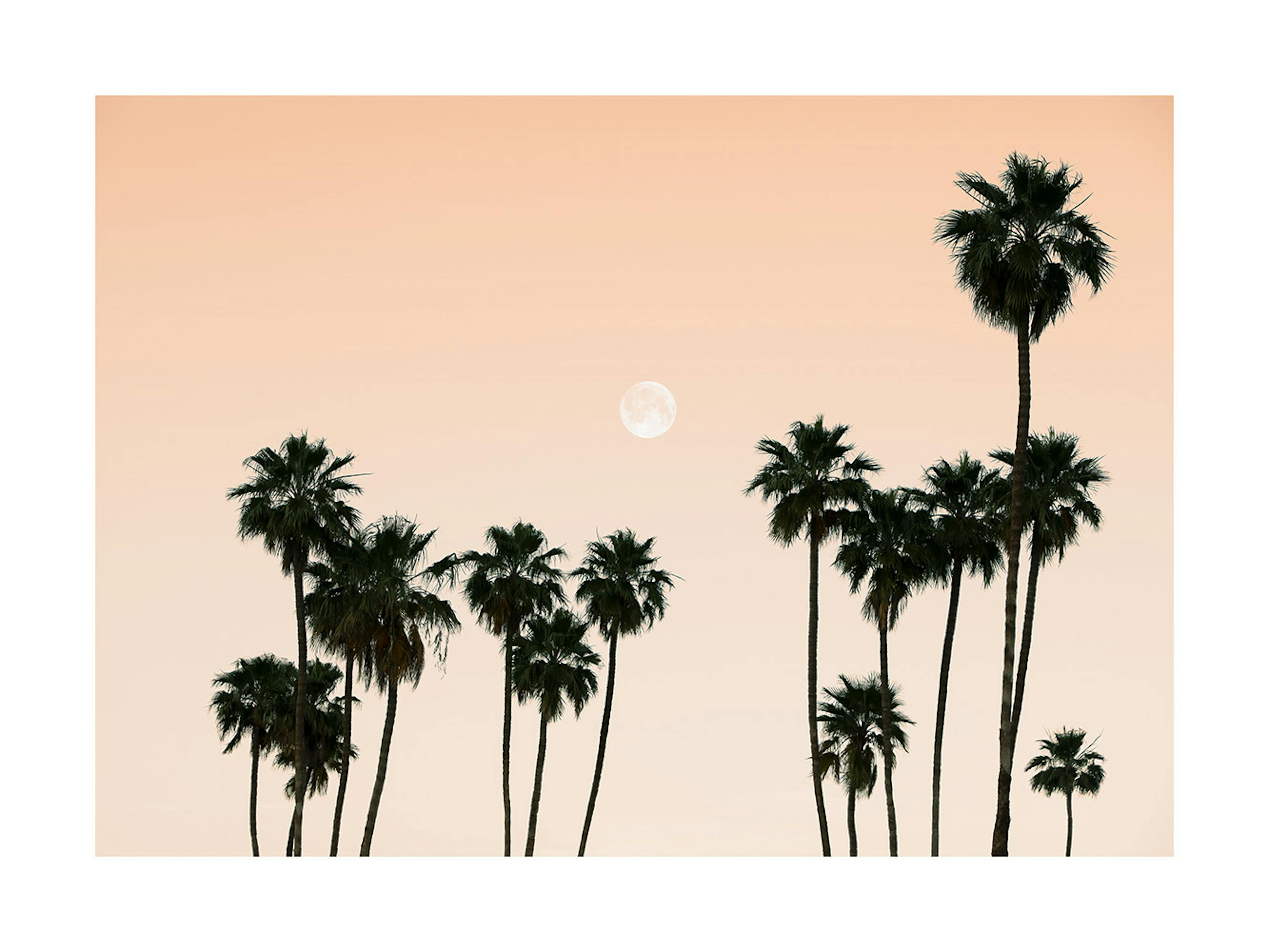 Palms in the Sky Print