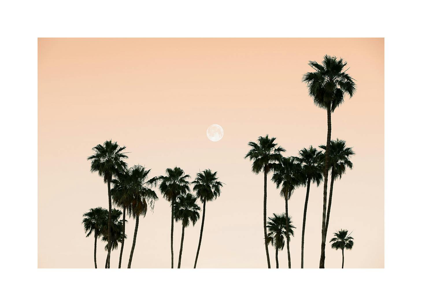Palms in the Sky Poster (50x70 cm) -  Poster mit Palmenmotiven