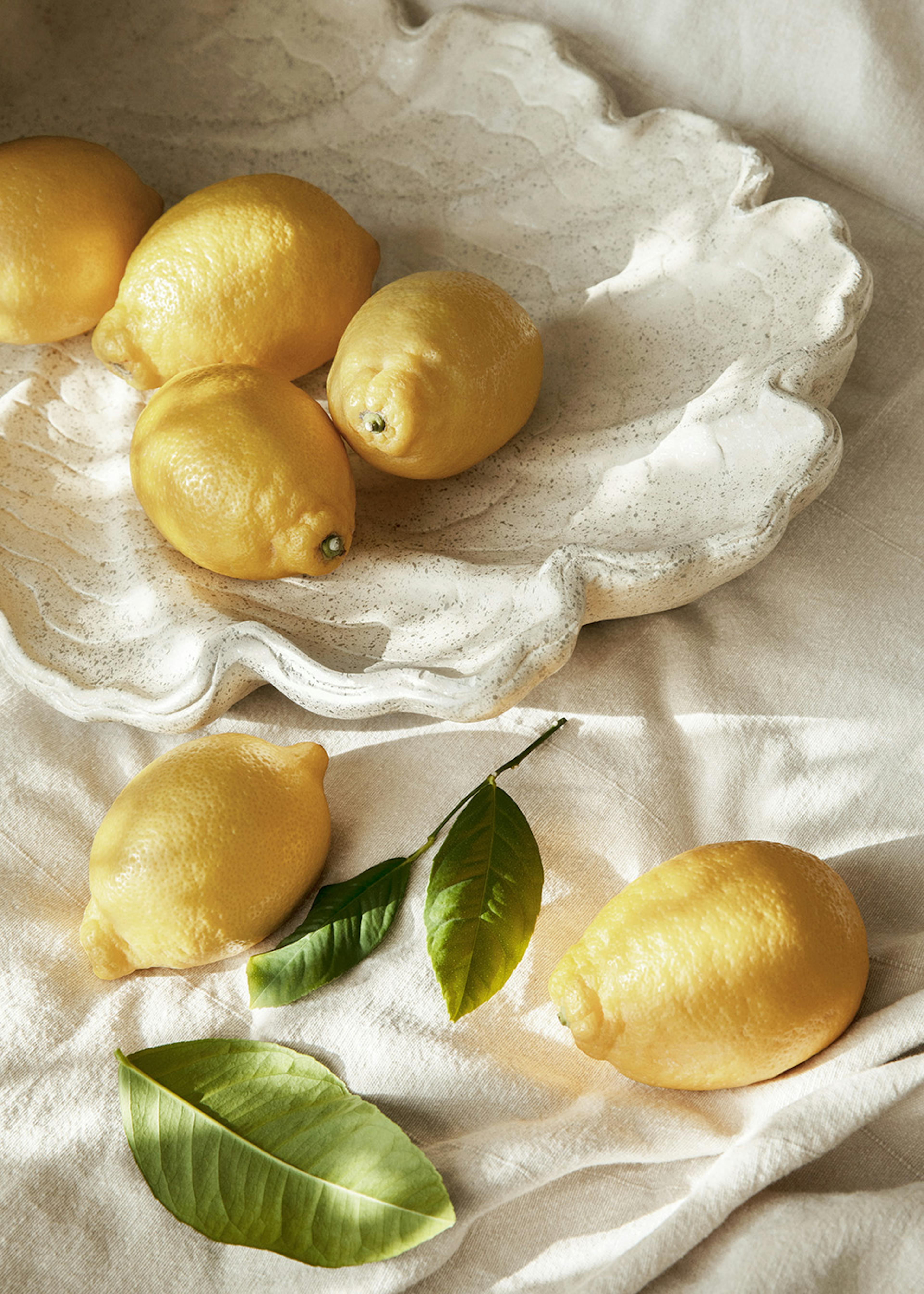 Lemons on a Plate Poster 0