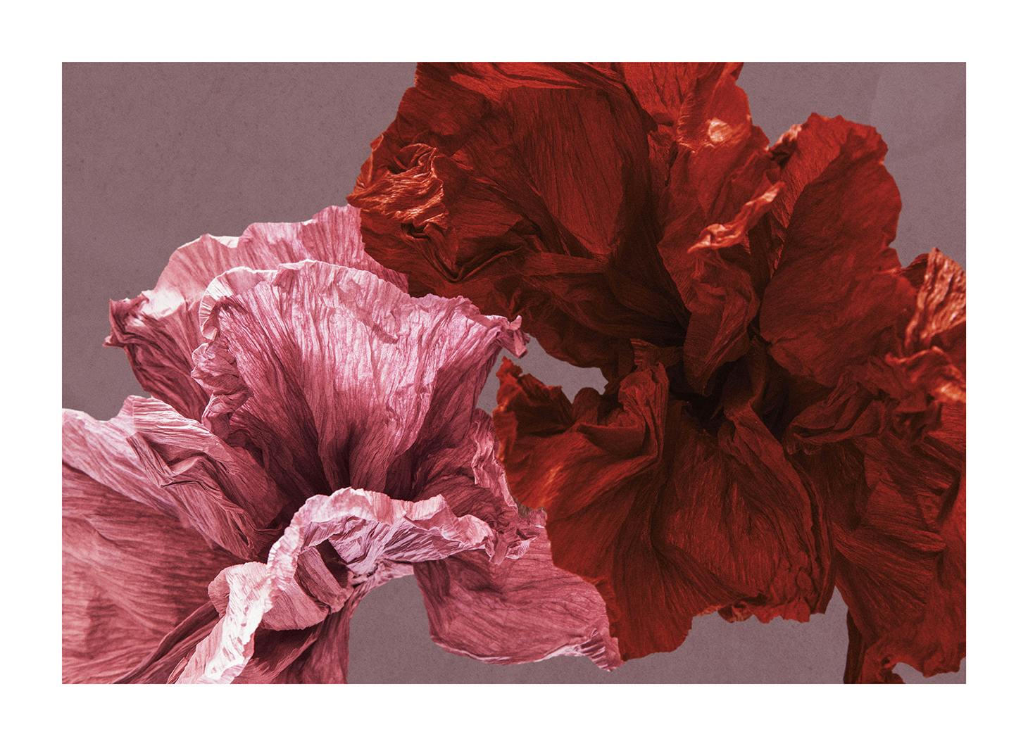 Paper Blossom No1 Plakat (30x40 cm)- Plakaty z kwiatami