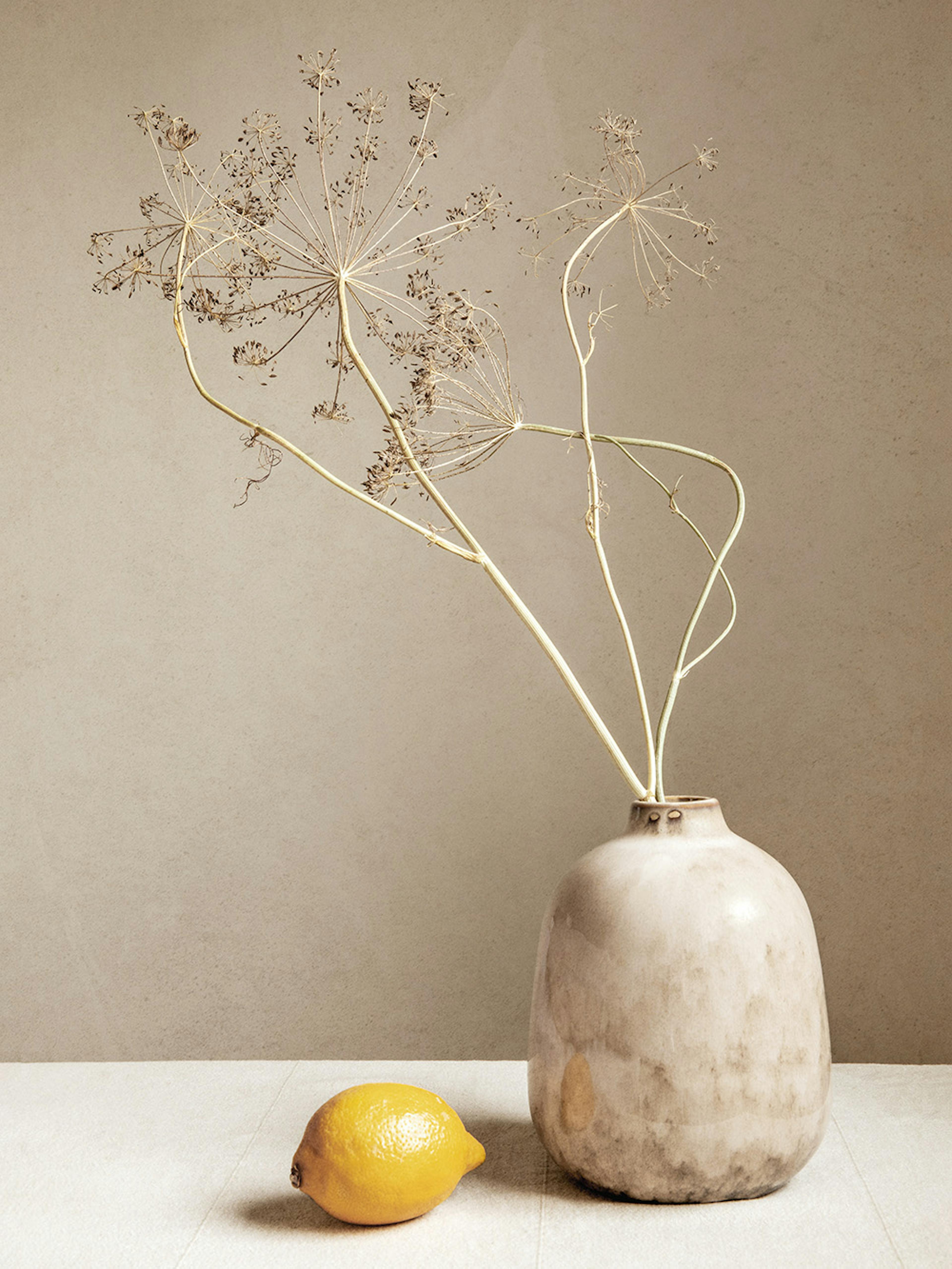 Lemon and Branches Poster