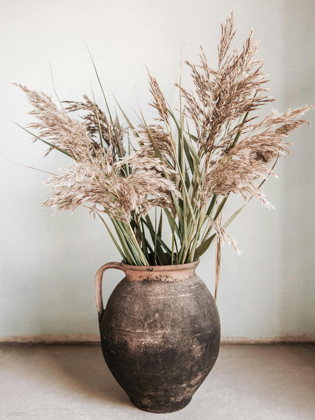 Rustic Reed Vase Print