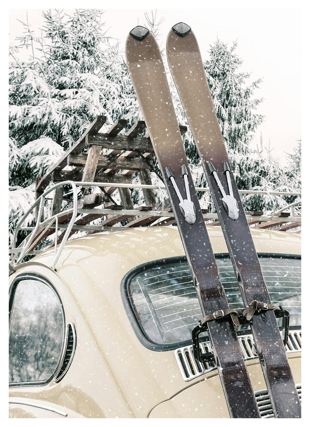 Skis and Snowfall Poster (50x70 cm) -  Sportposter und Bilder