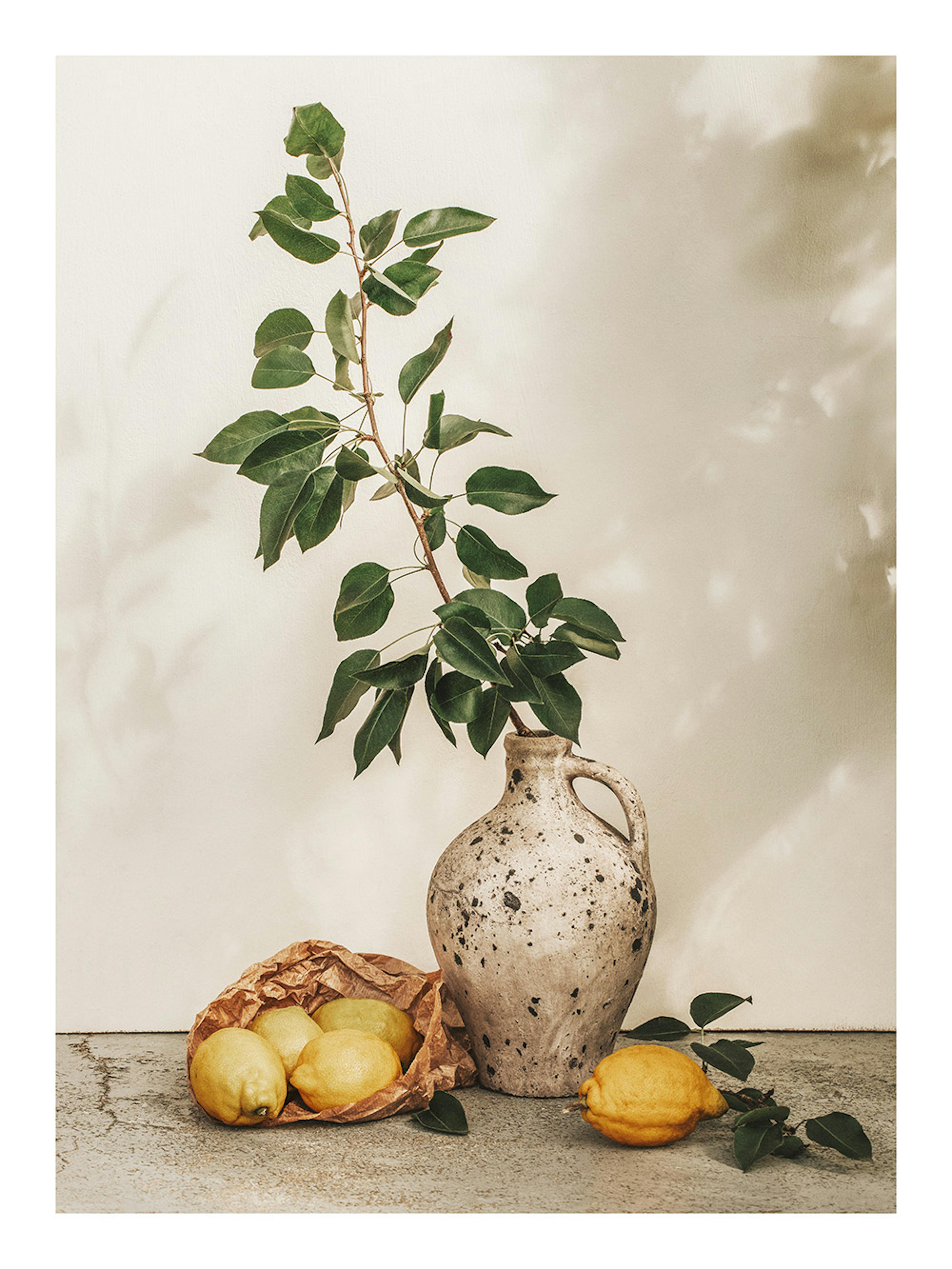Afternoon Lemons Print