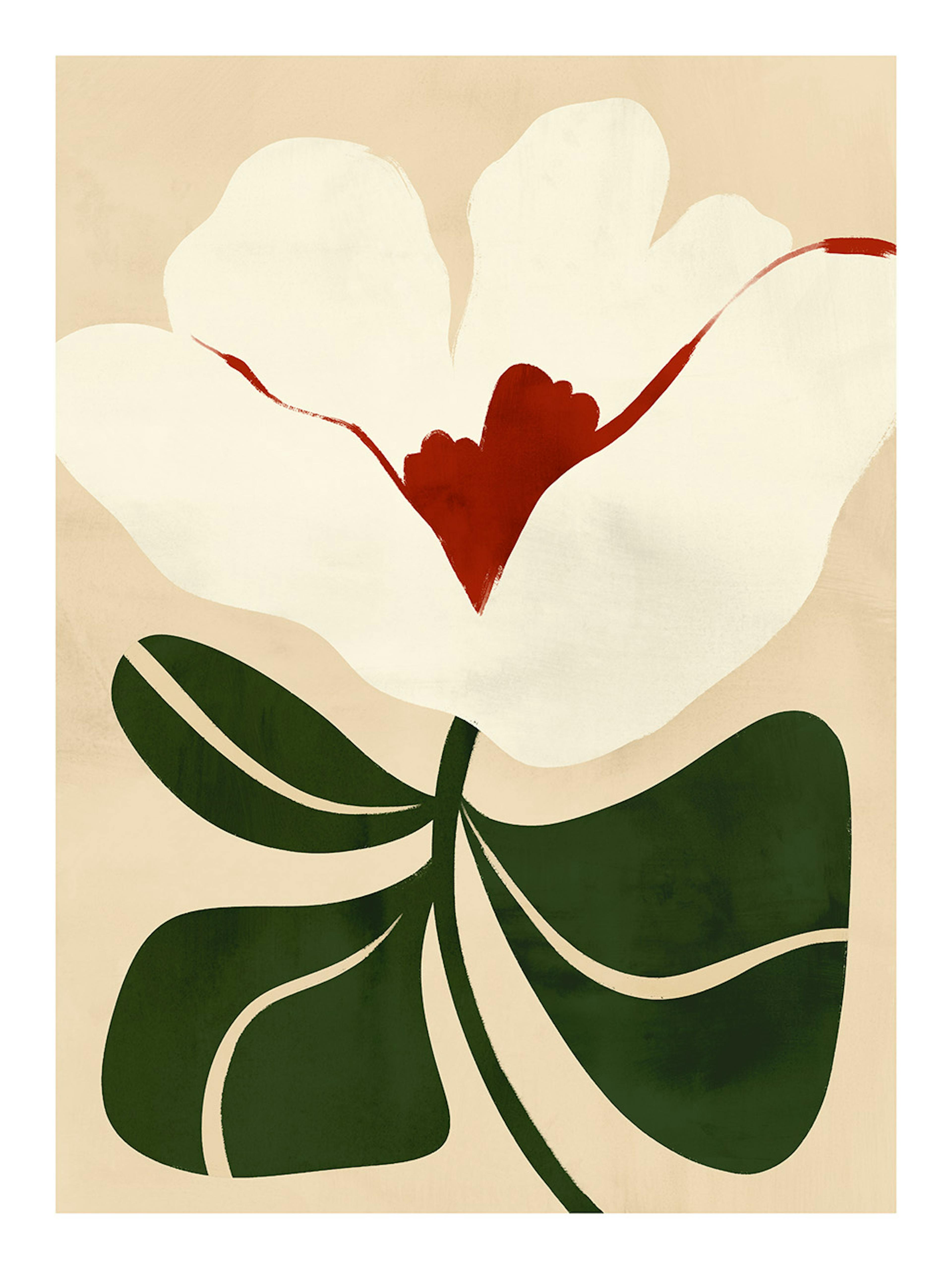 Illustrated Floral Affiche