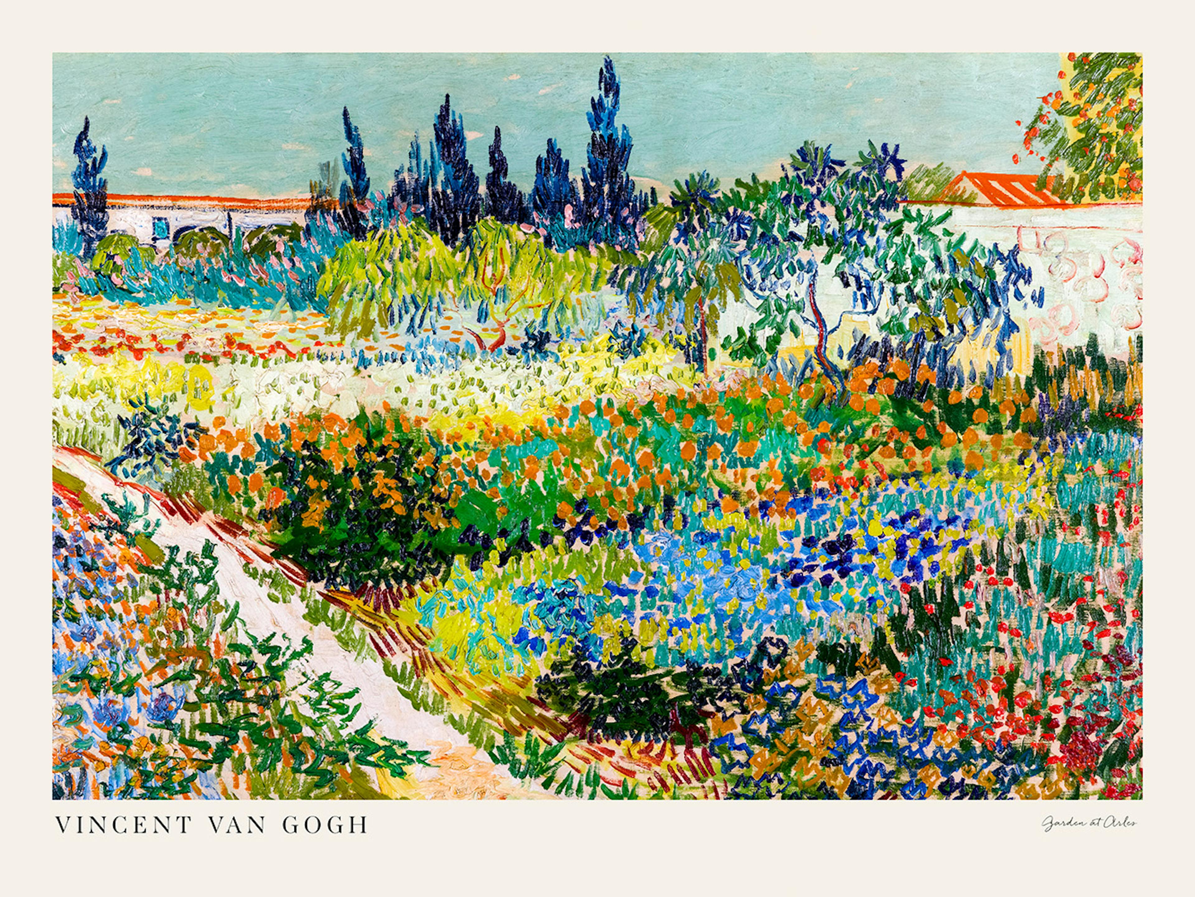 Van Gogh - Garden at Arles Landscape Affiche