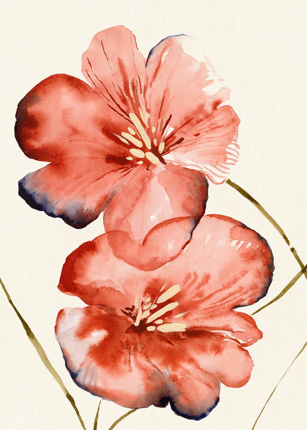 Soft Red Flowers Affiche 0
