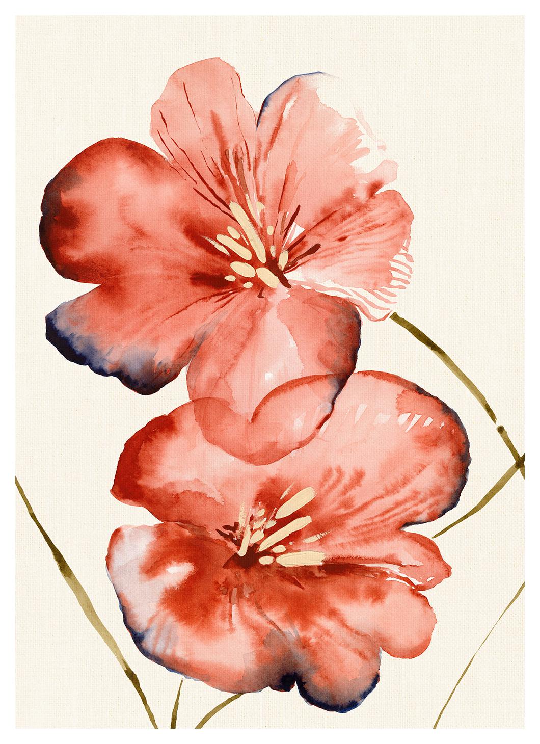 Soft Red Flowers Plakat (50x70 cm)- Obrazy akwarelowe