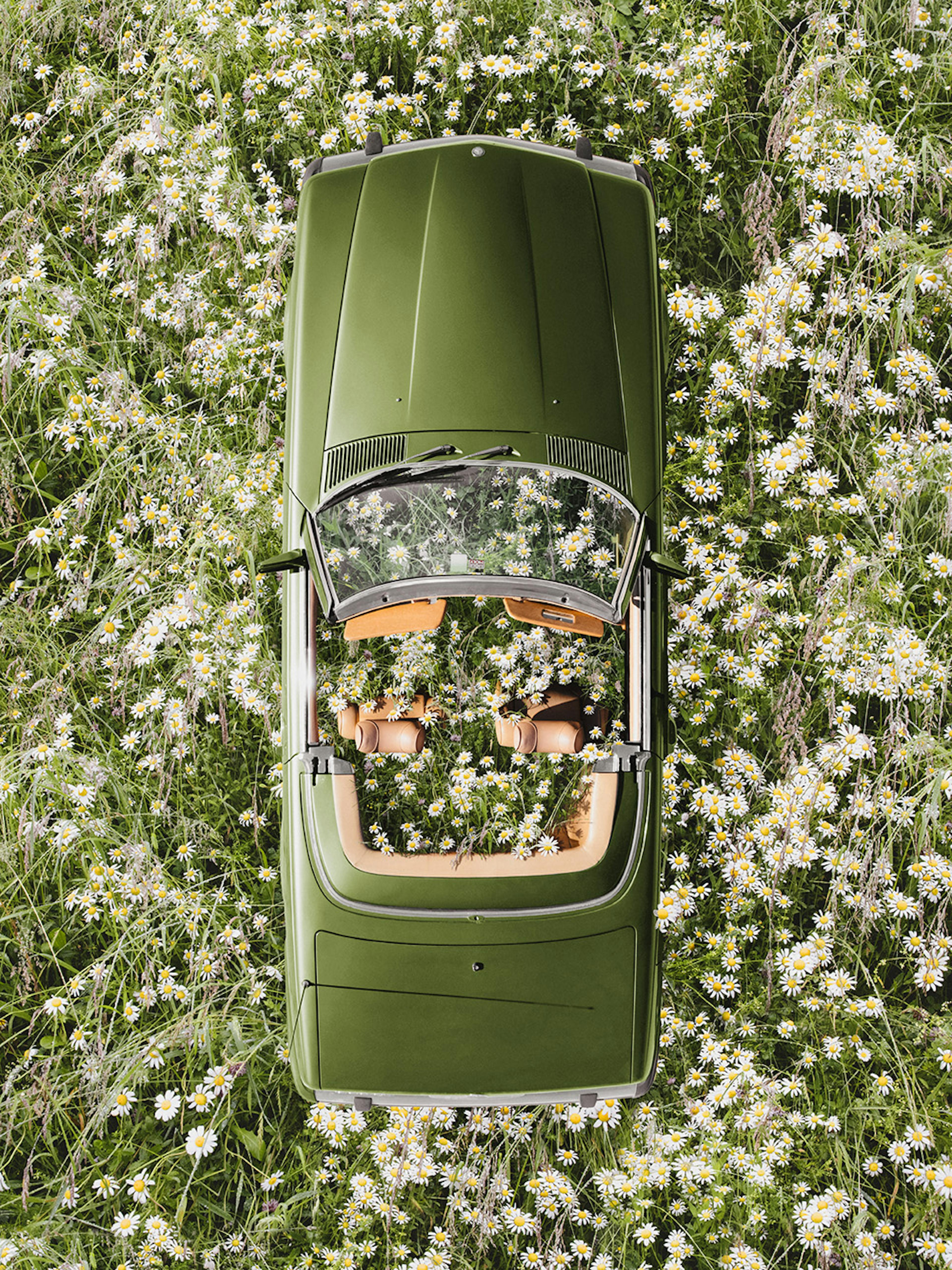 Floral Escape Plakat