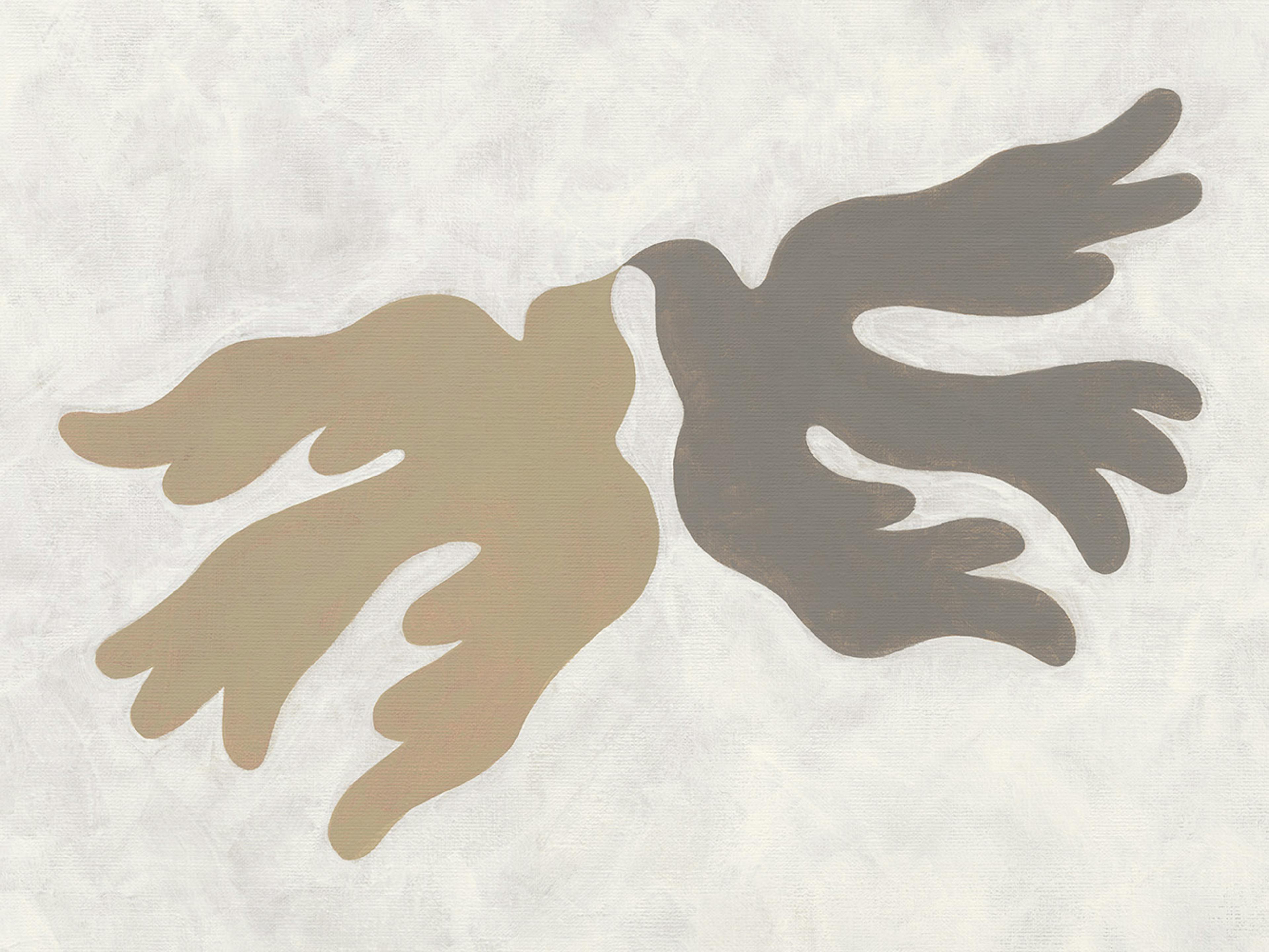 Reflecting Doves Poster