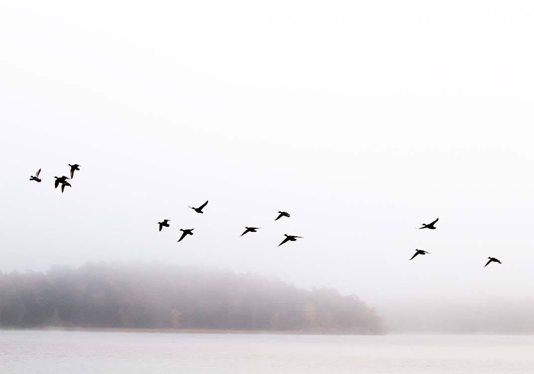 Birds Over Lake Print 0