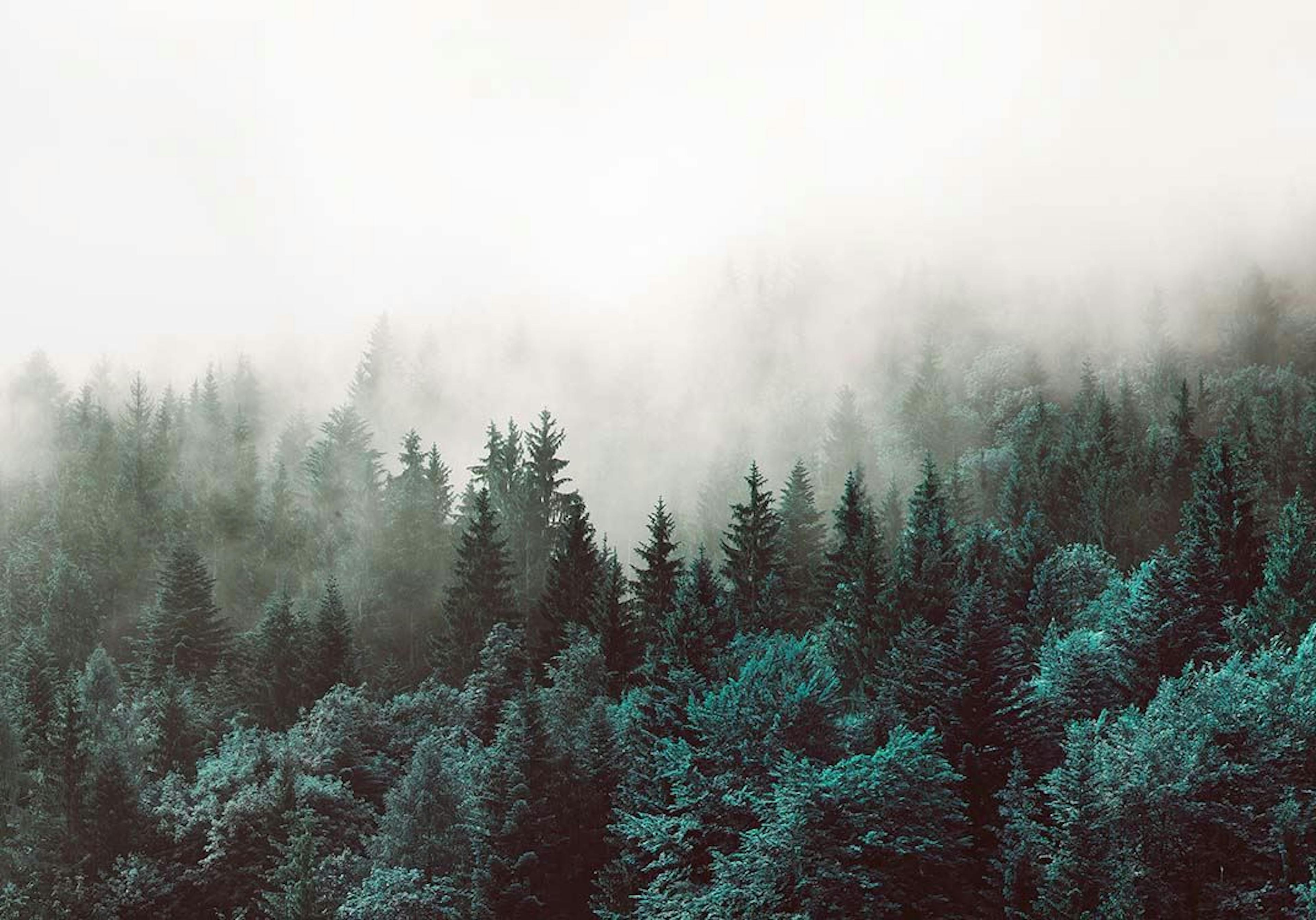 Green Dream, Affiche 0