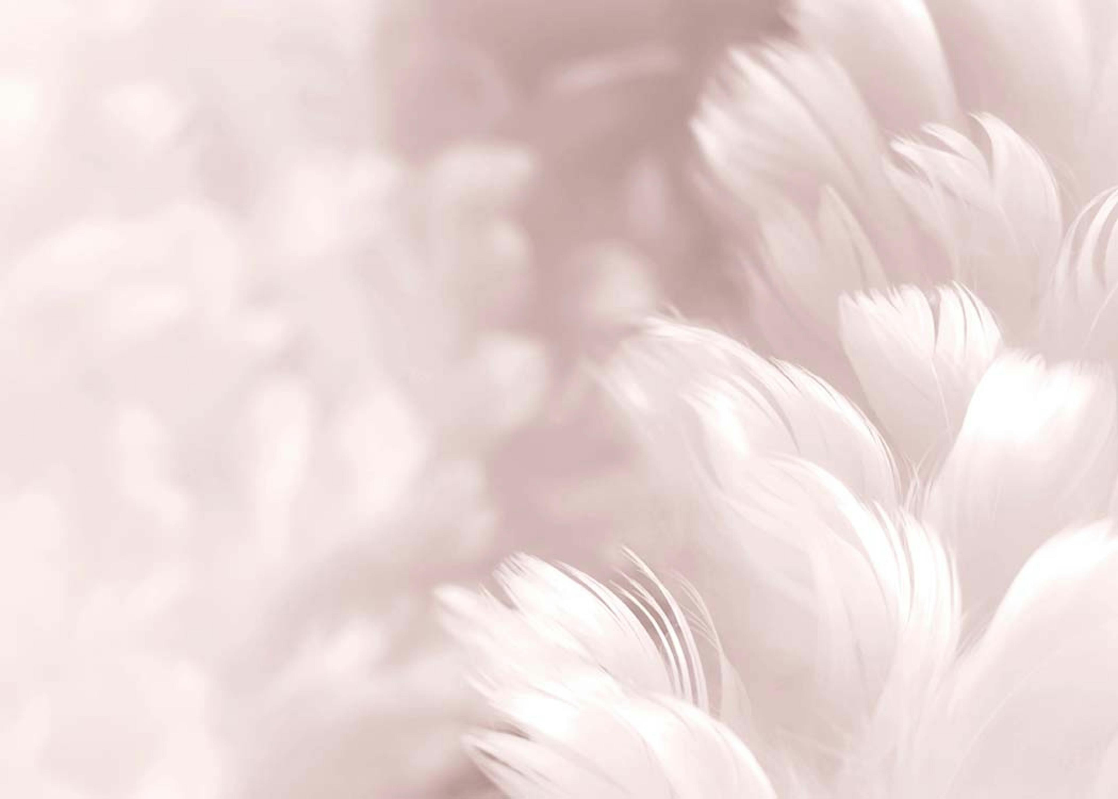 Fluffy Pink Feathers, Plakat