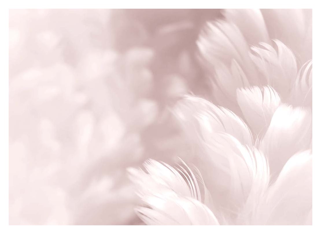 Prints - Fluffy Pink Feathers, Print (40x50 cm) - Photography prints