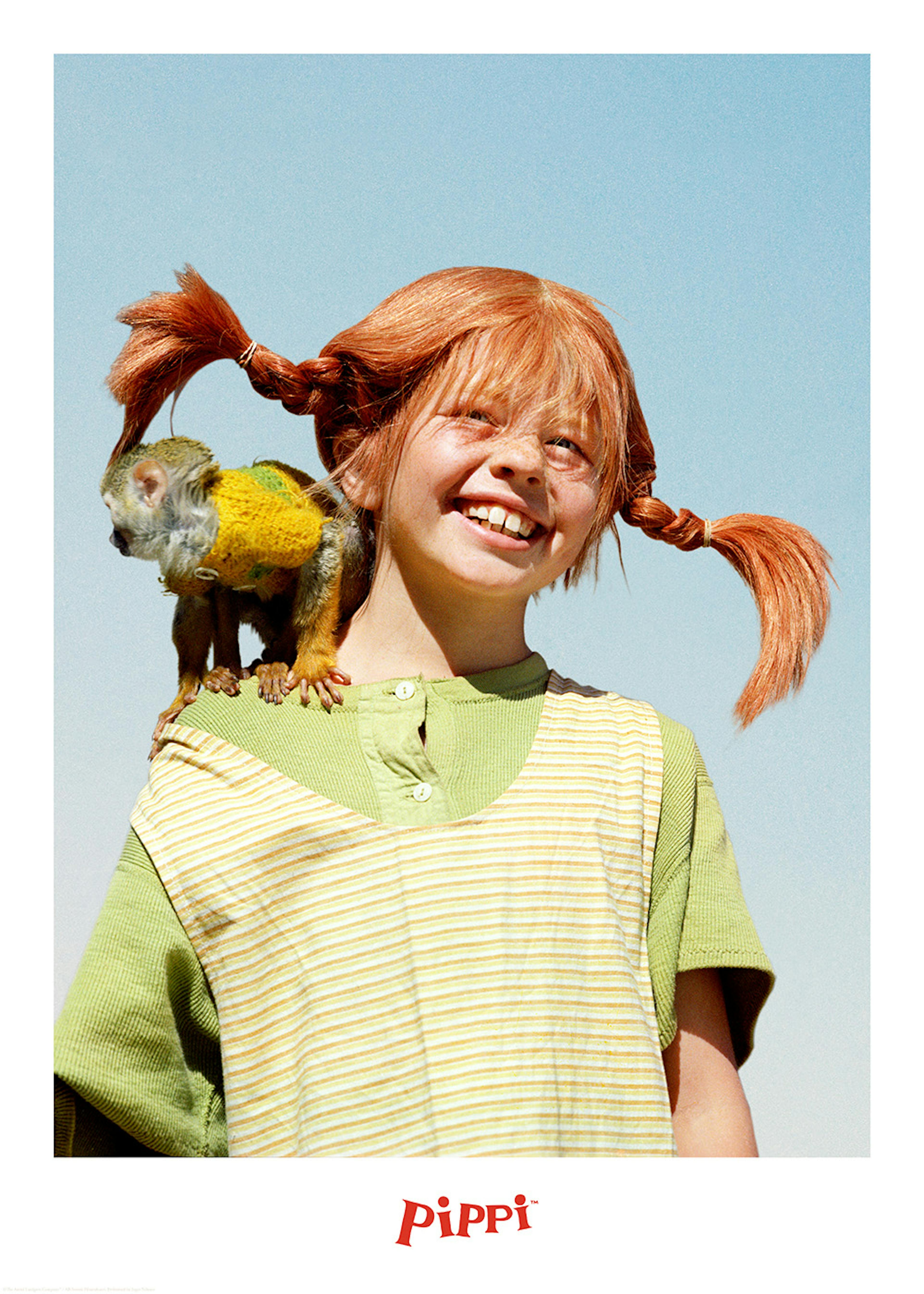 Pippi Longstocking Portrait Poster 0