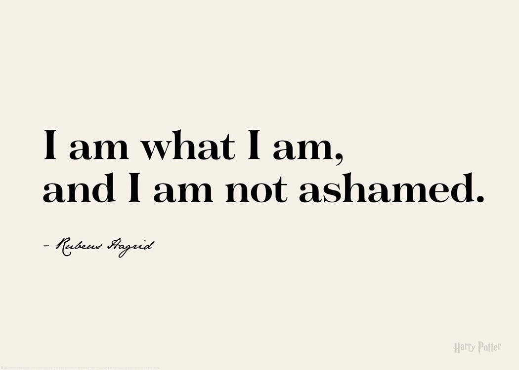 Harry Potter™ - I am What I am Poster 0