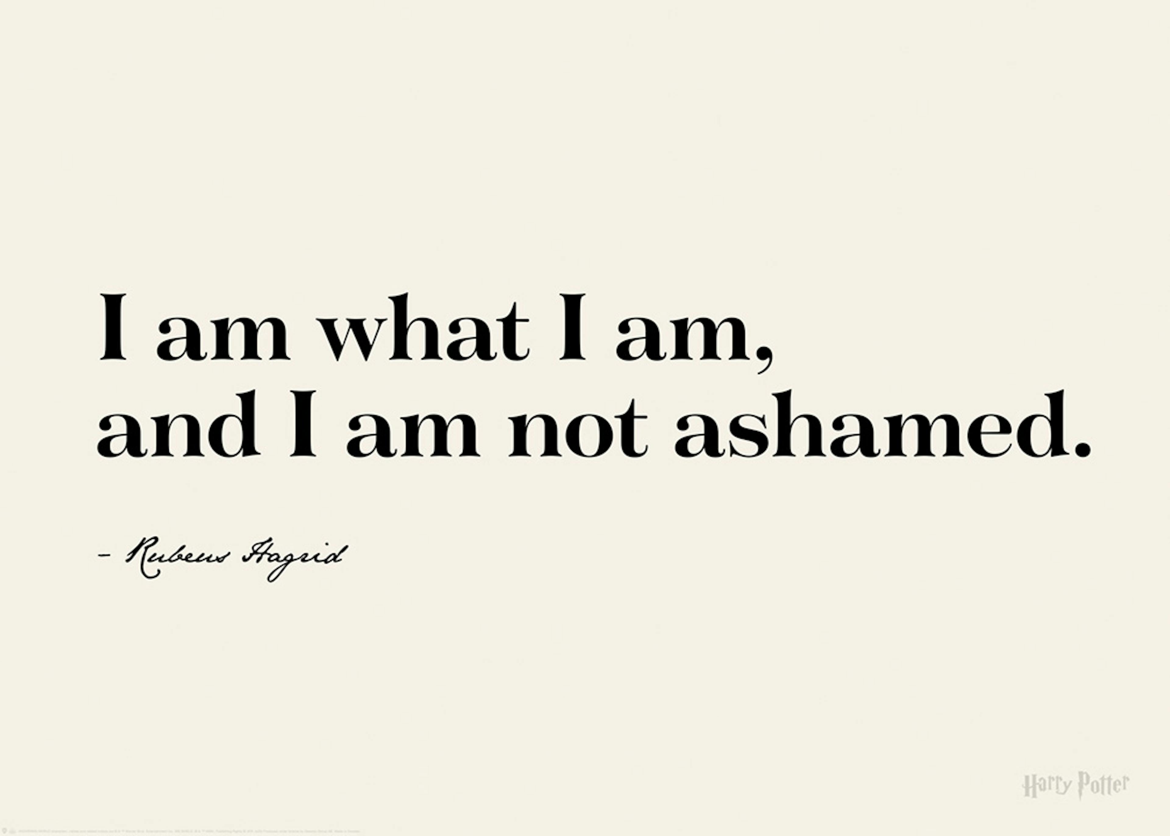 Harry Potter™ - I am What I am Print 0