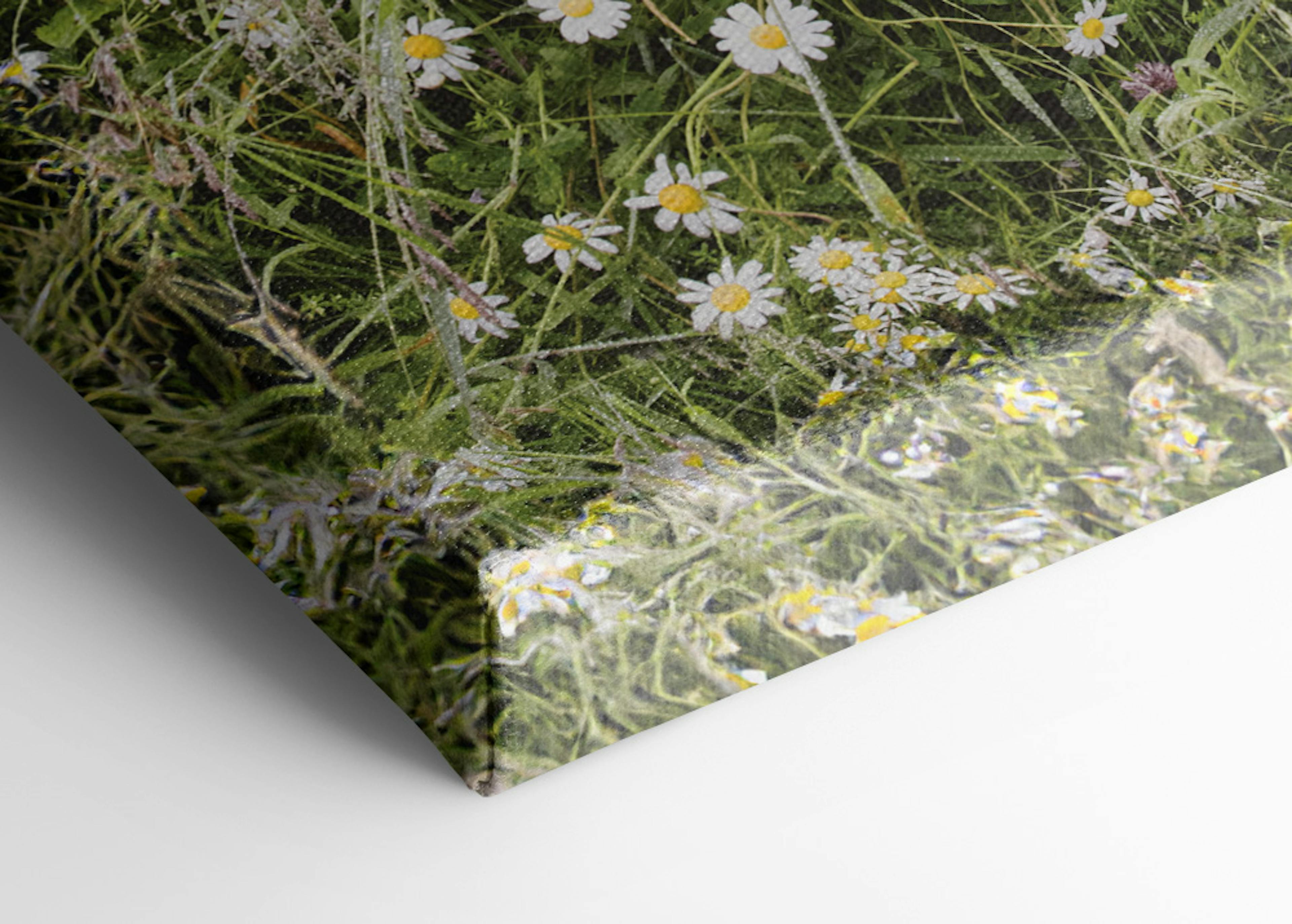 Floral Escape Obraz na płótnie
