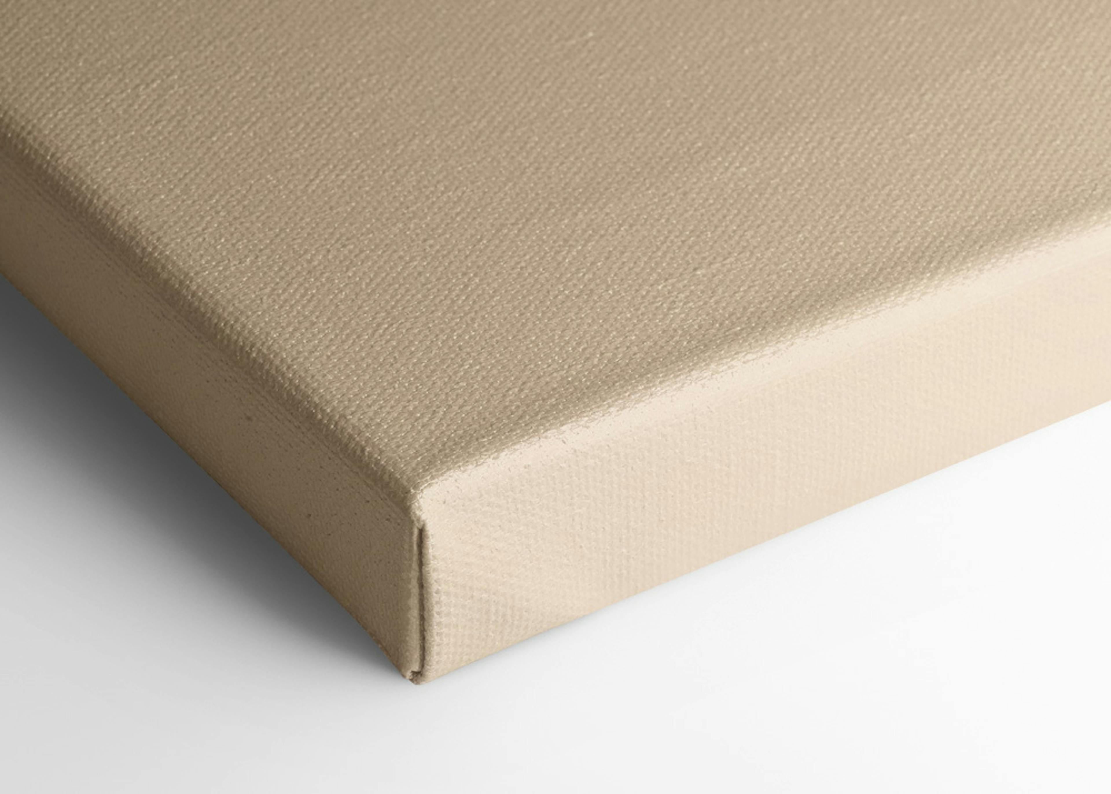 Mie & Him - Labyrinth No1 Canvas print