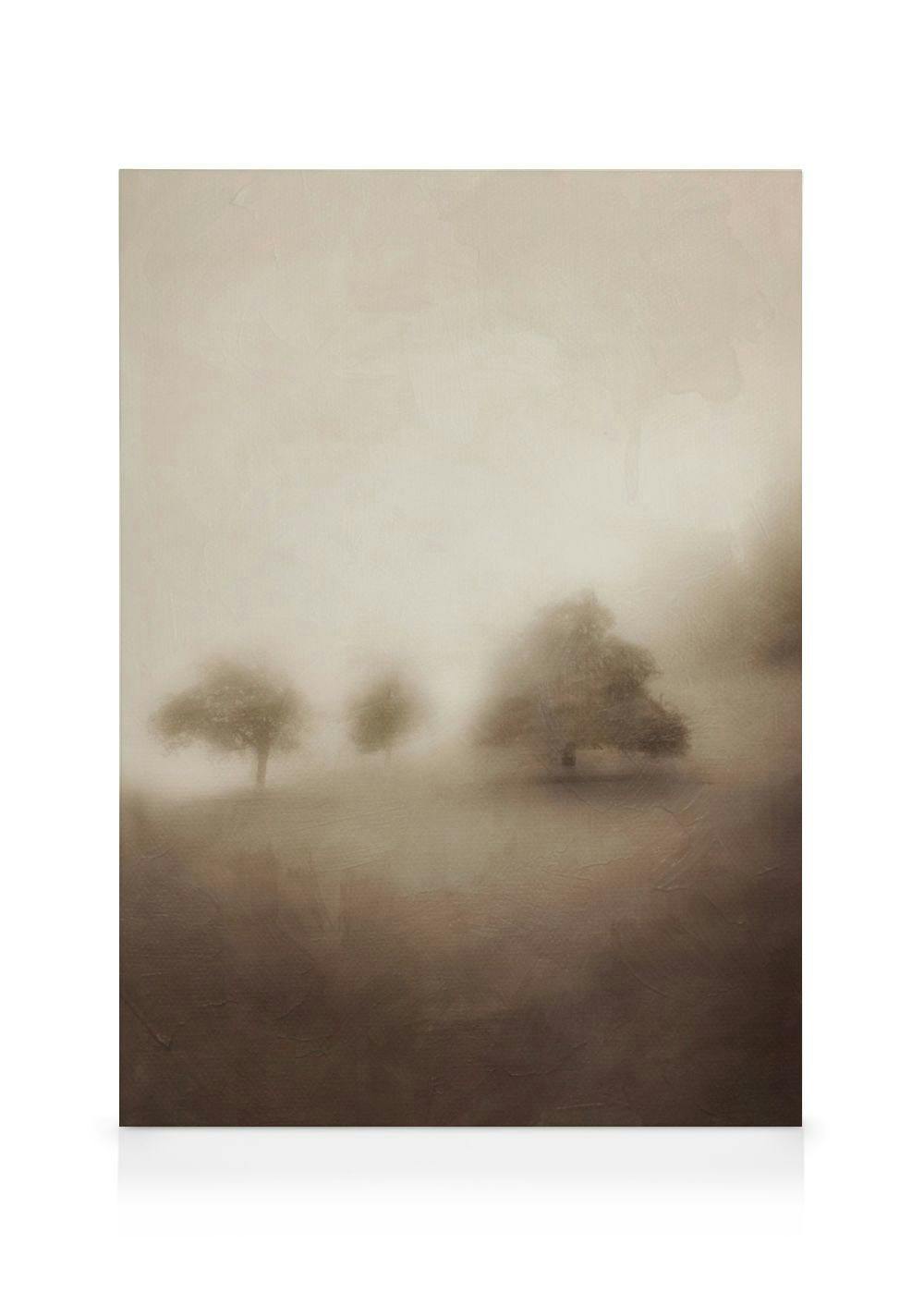Canvas Prints Silent Dawn Canvas print (70x100 cm - Black Frame)