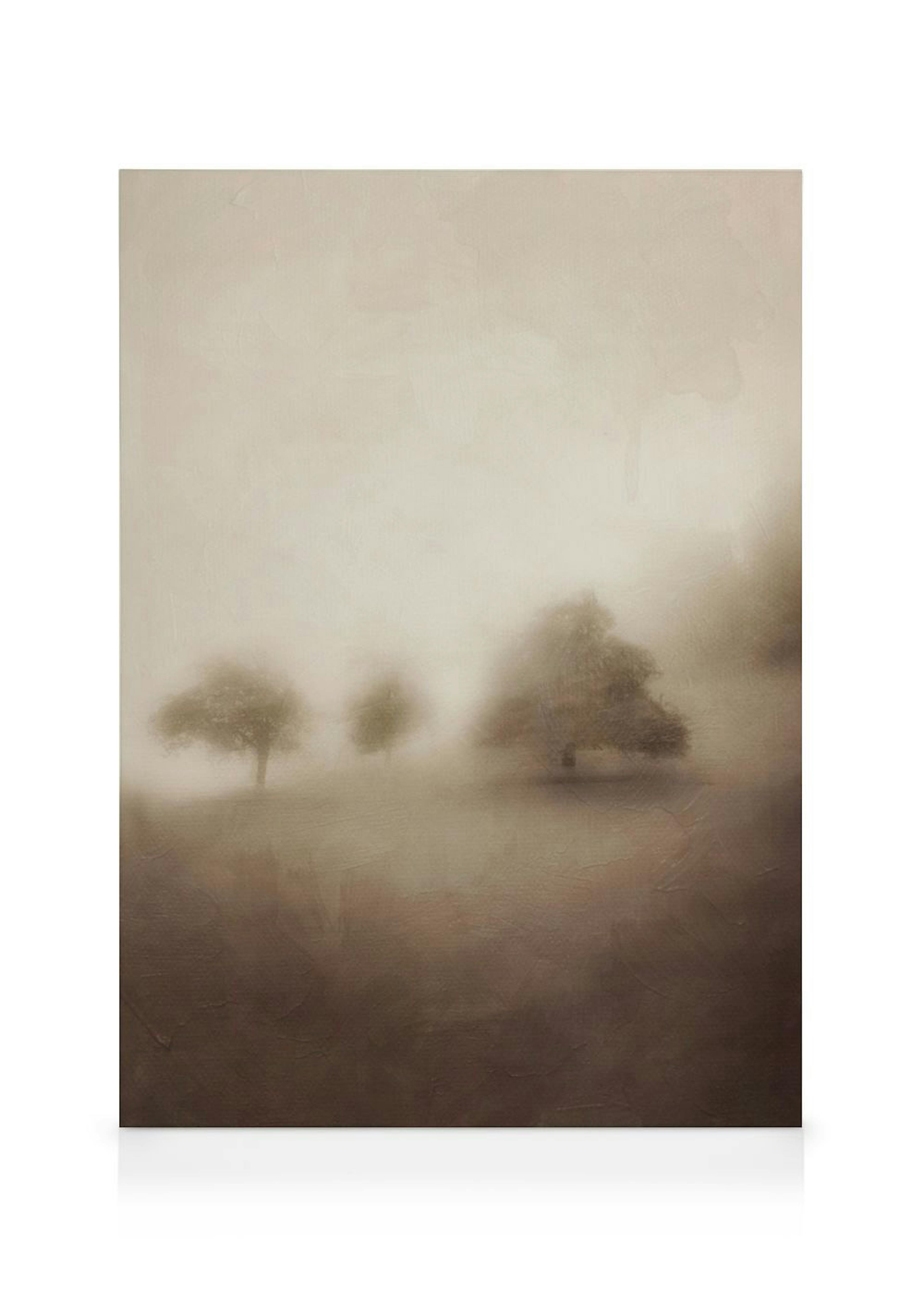 Silent Dawn Canvas 0