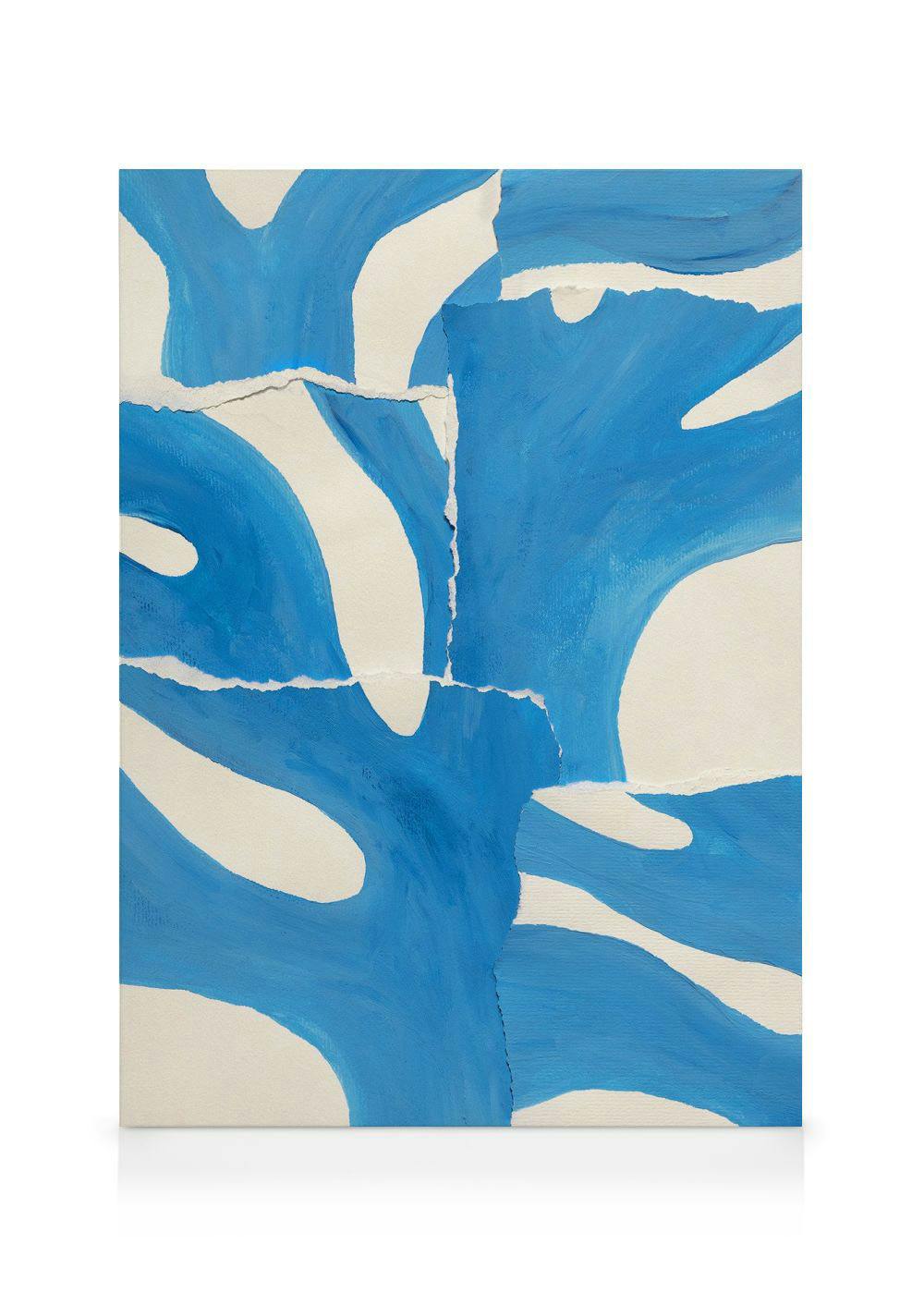 Reassembled Coral Kanvaasi (50x70 cm)  Maalaukset