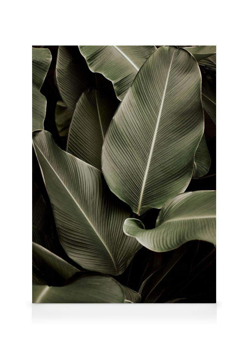Canvas Prints Green Symphony Canvas print (30x40 cm - Oak Frame)