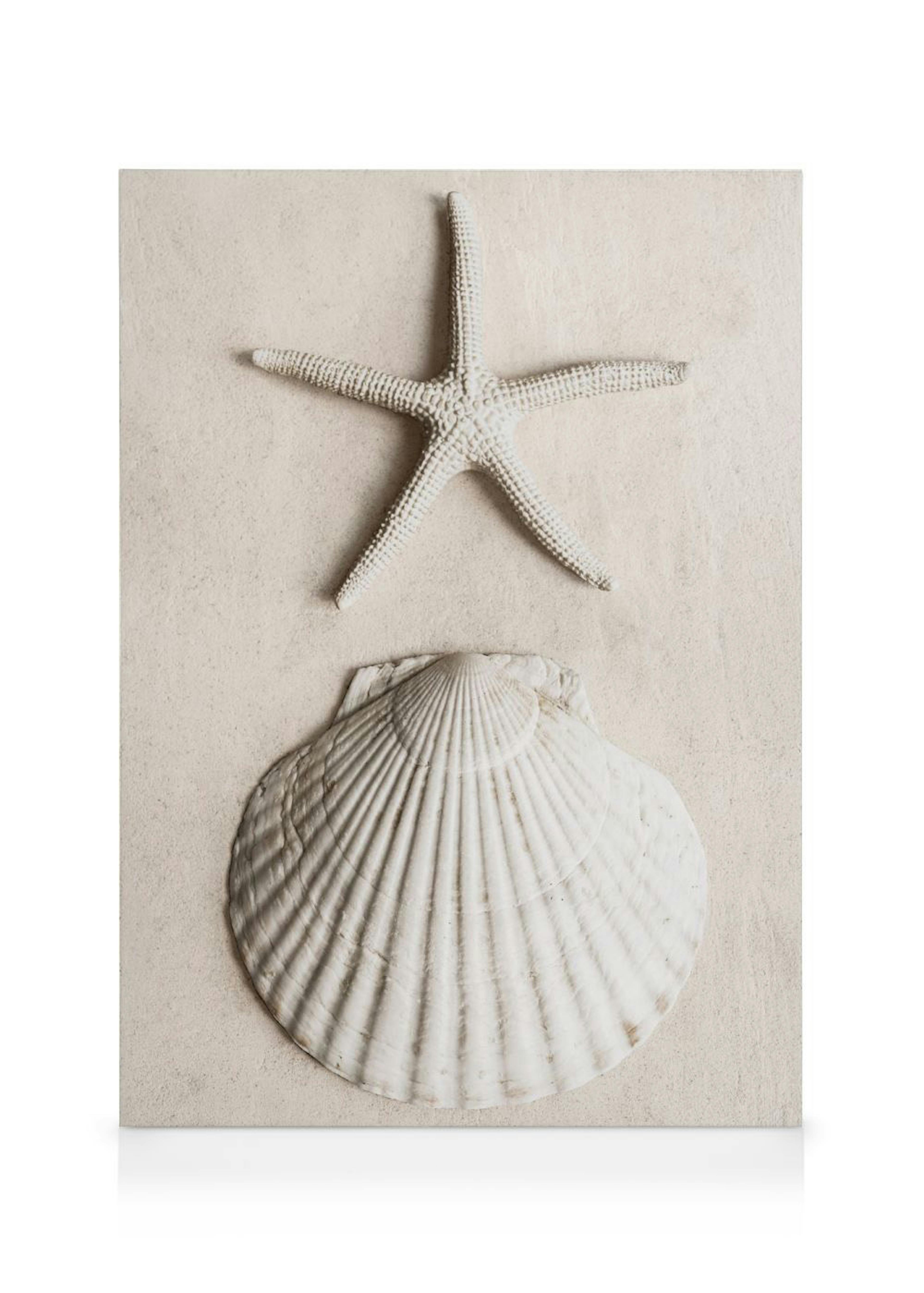 Tidal Secrets Lienzo 0