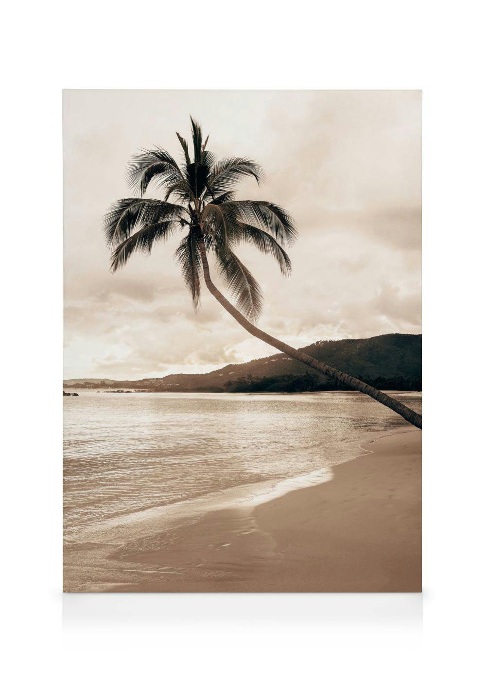 Obrazy na płótnie Golden Palm Trees Obraz na płótnie (50x70 cm)
