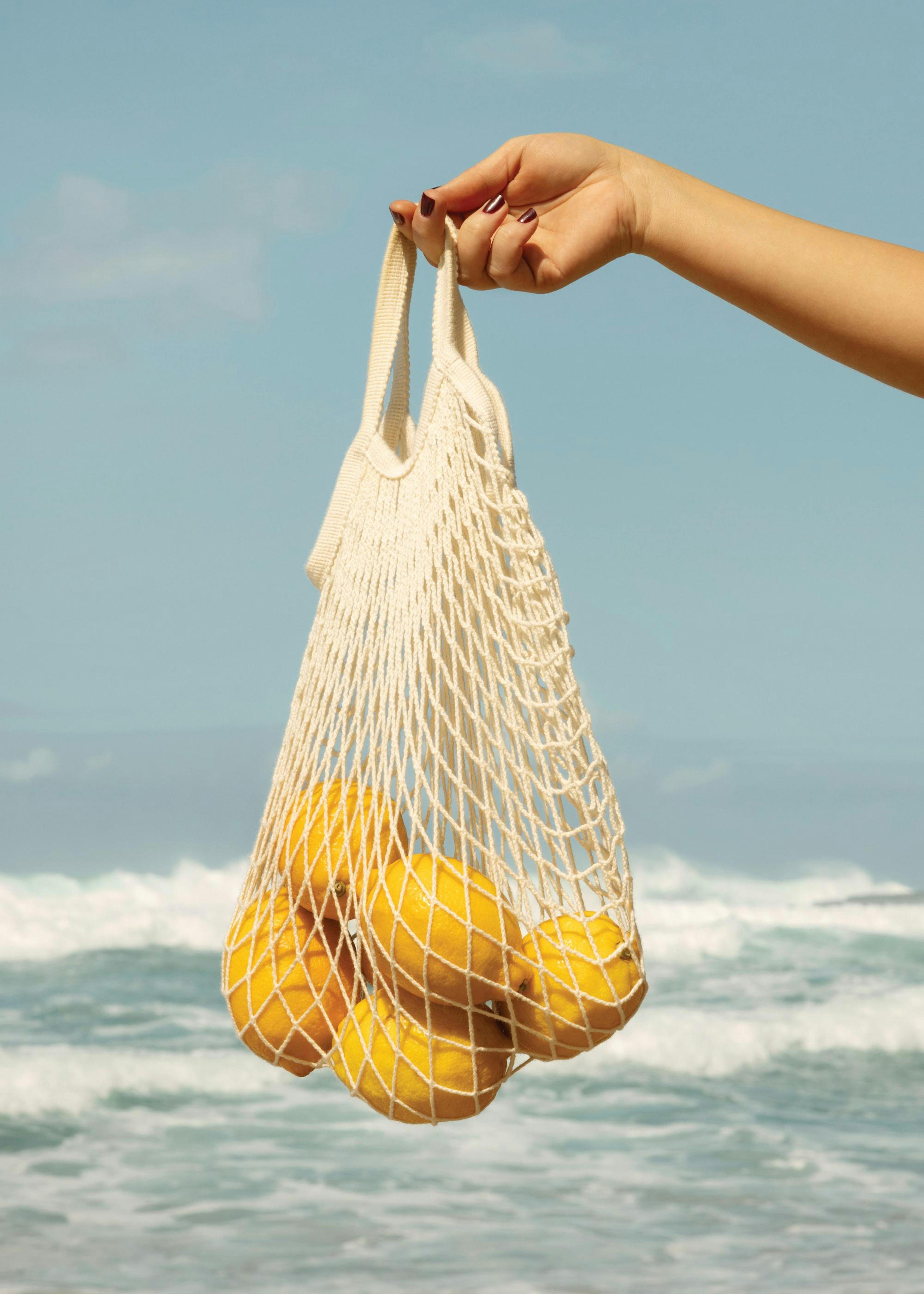 Atlantic Zest Plakat 0