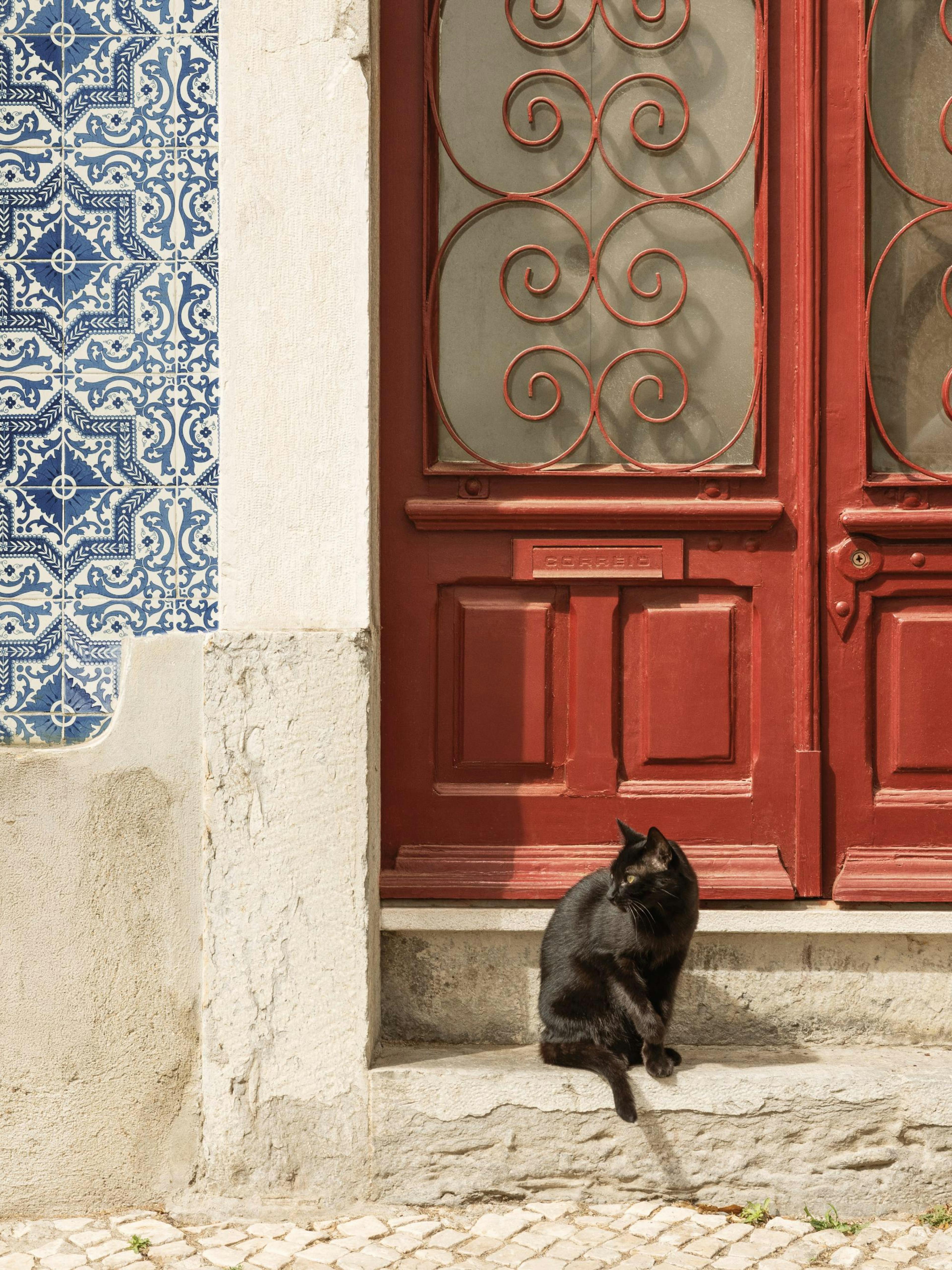 Rua Do Gato Print