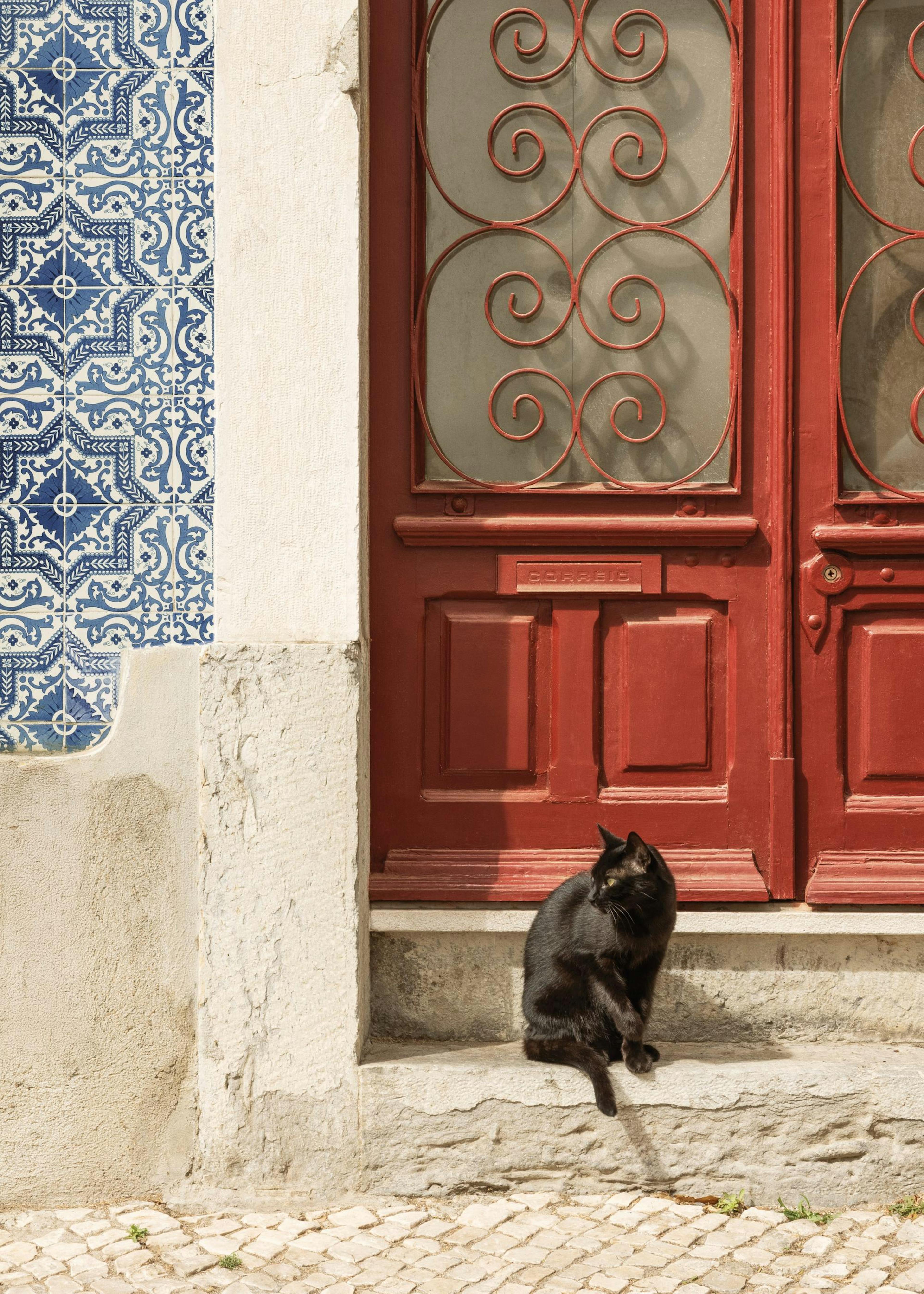 Rua Do Gato Print 0
