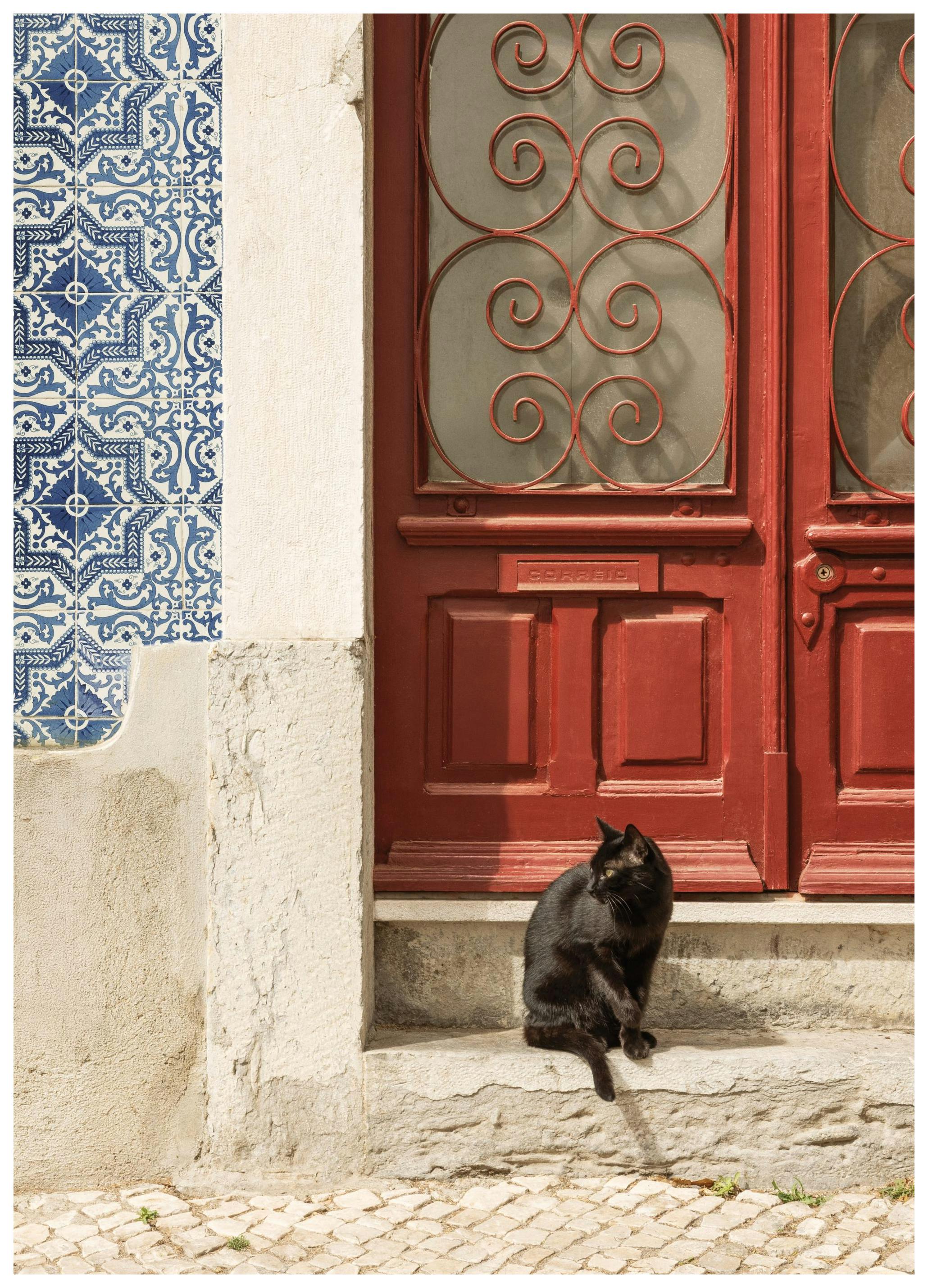 Prints - Rua Do Gato Print (30x40 cm) - Animal art prints