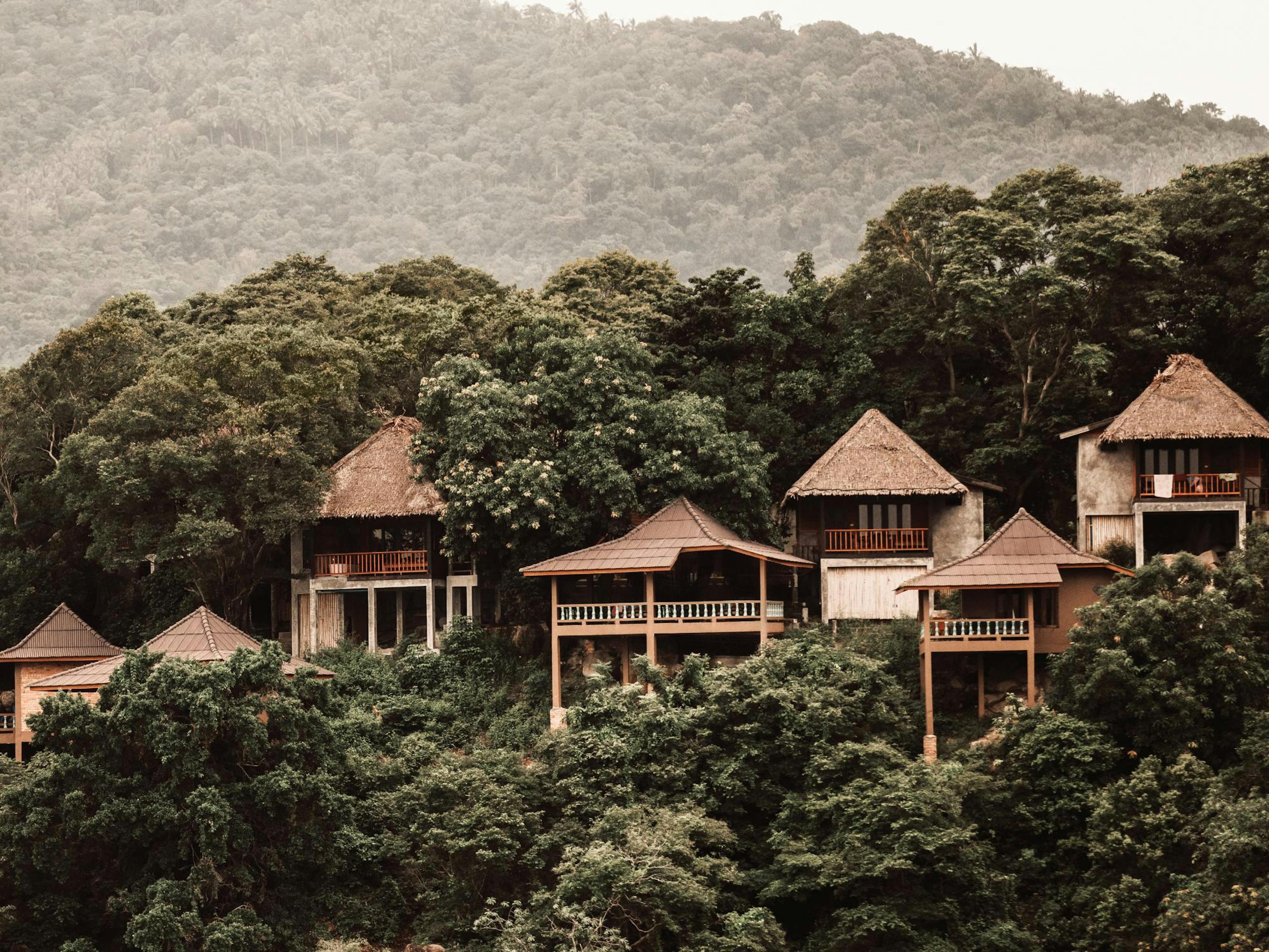 Treetop Retreat Print