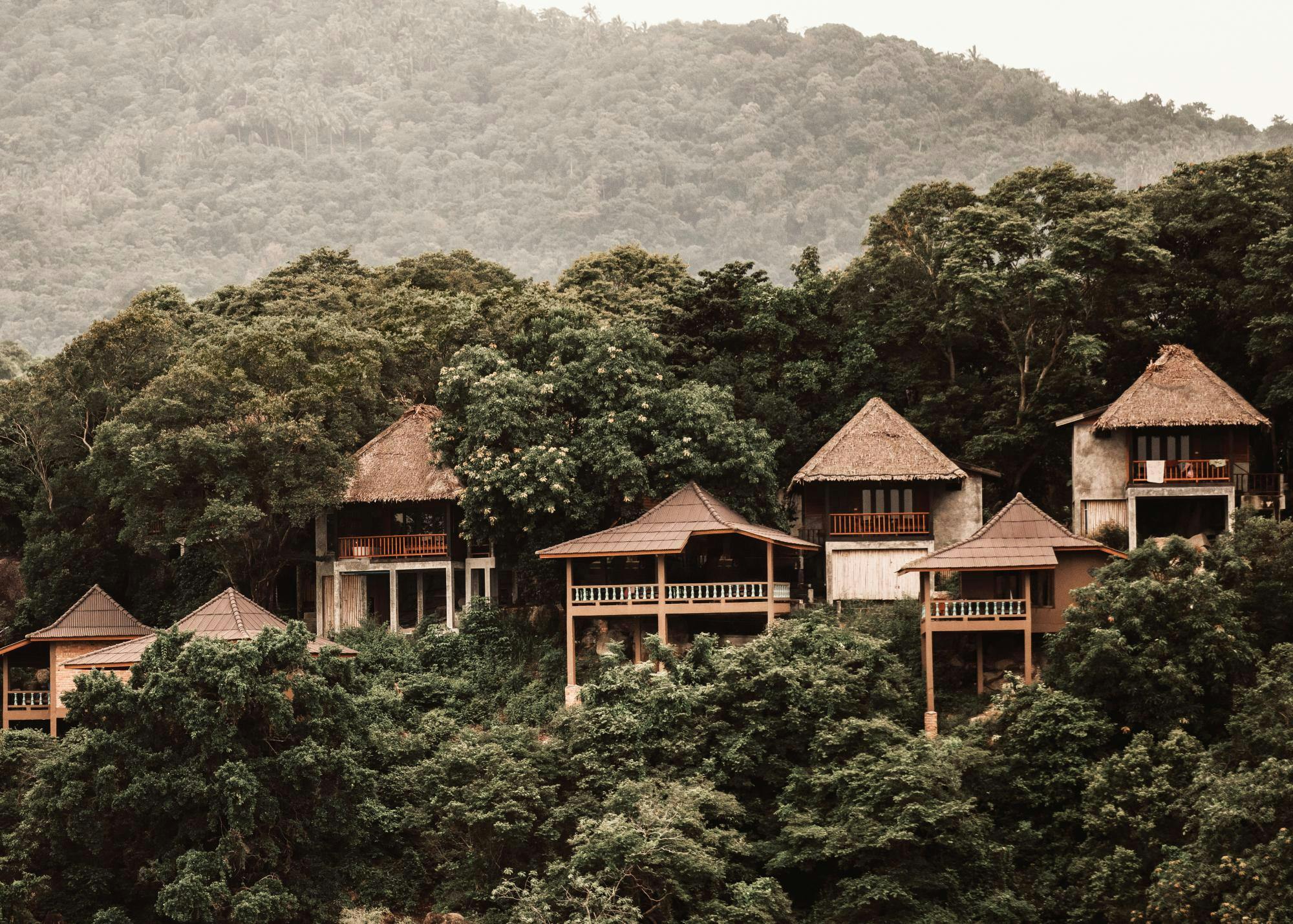 Treetop Retreat Plakat 0