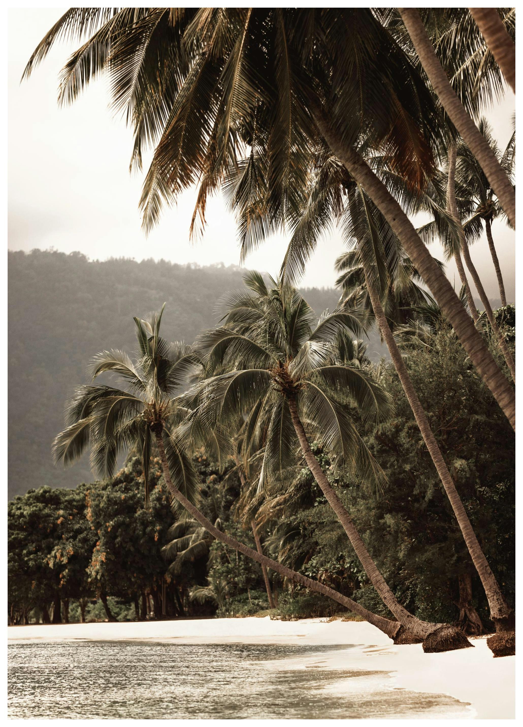 Tropical Embrace Poster (30x40 cm)