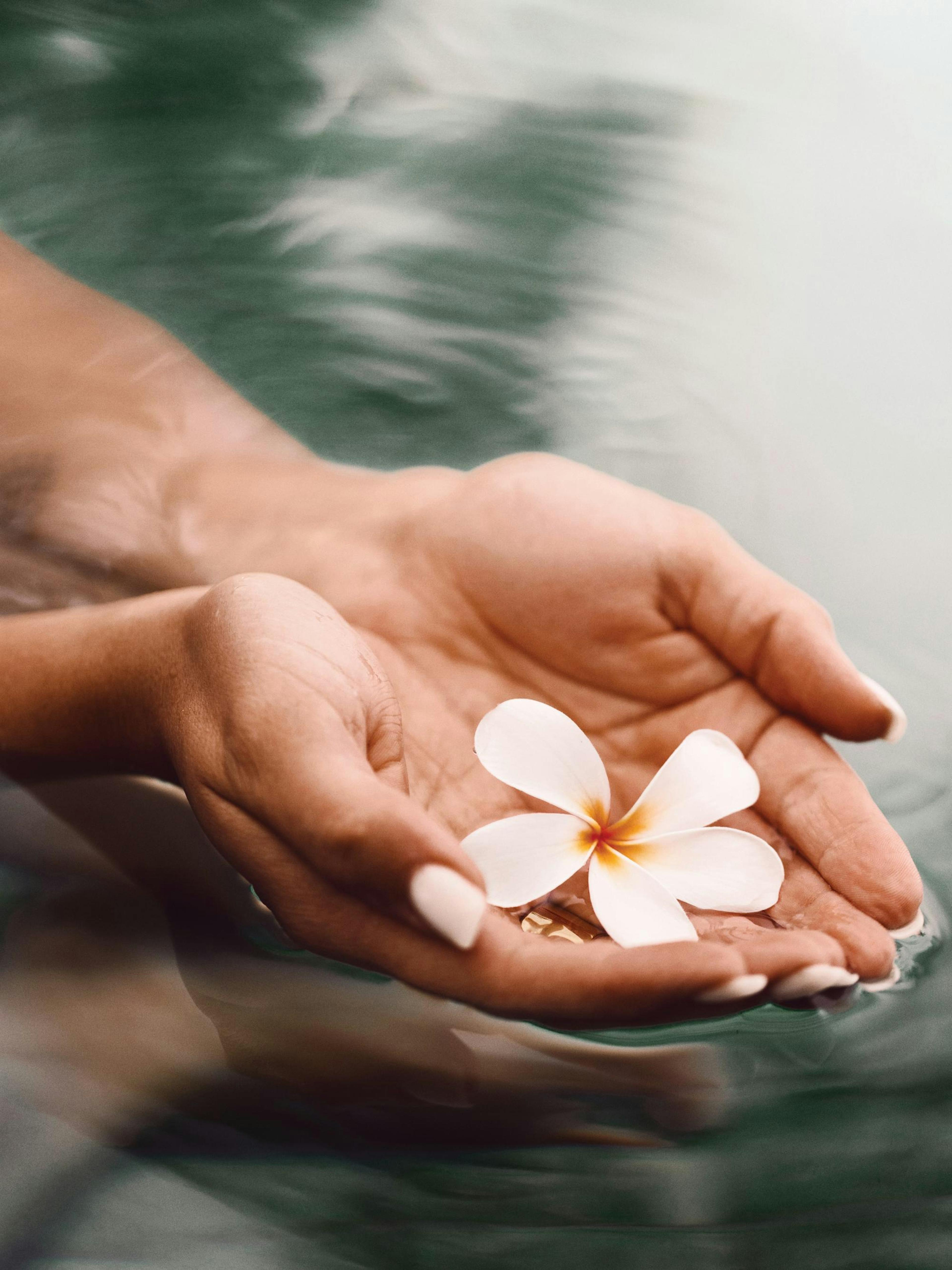 Thai Water Blossom Poster
