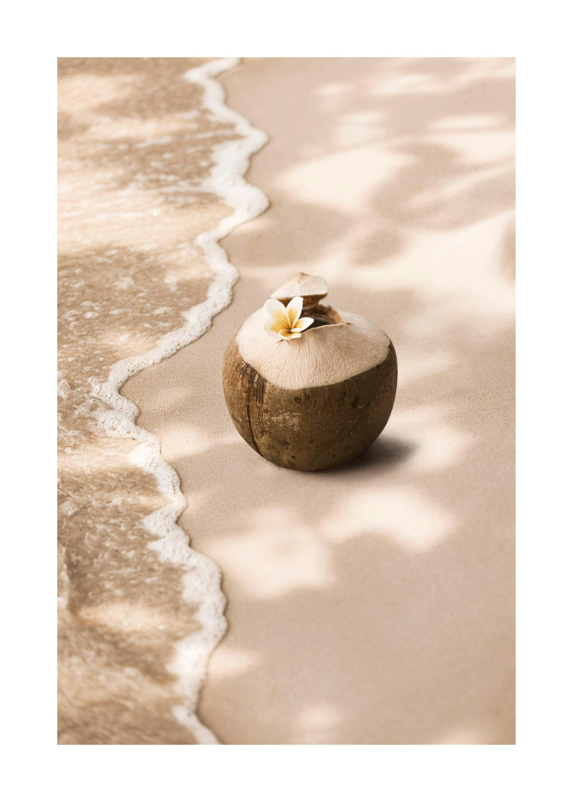 Coconut Breeze Print 0