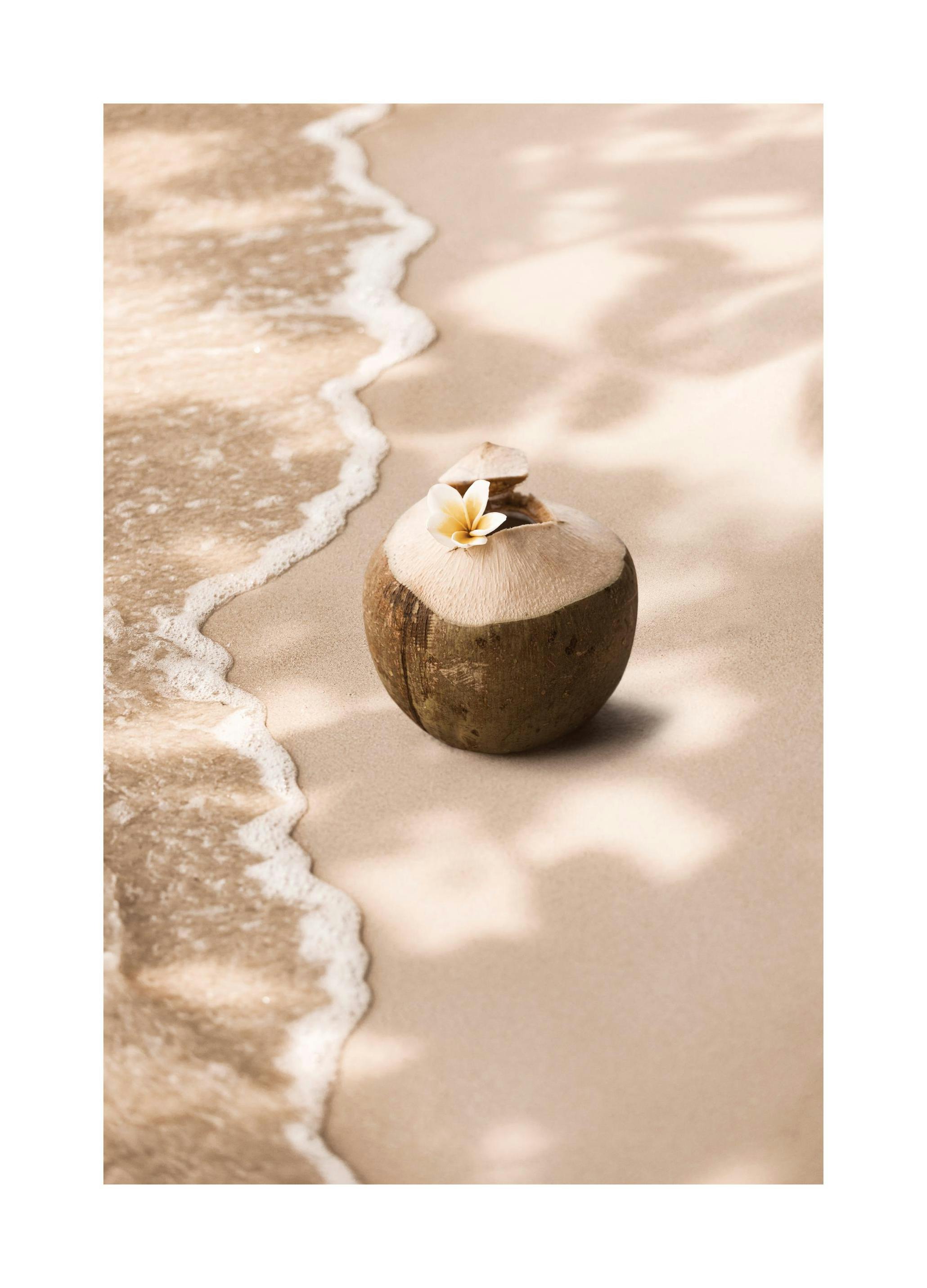Prints - Coconut Breeze Print (21x30 cm) - Beach prints