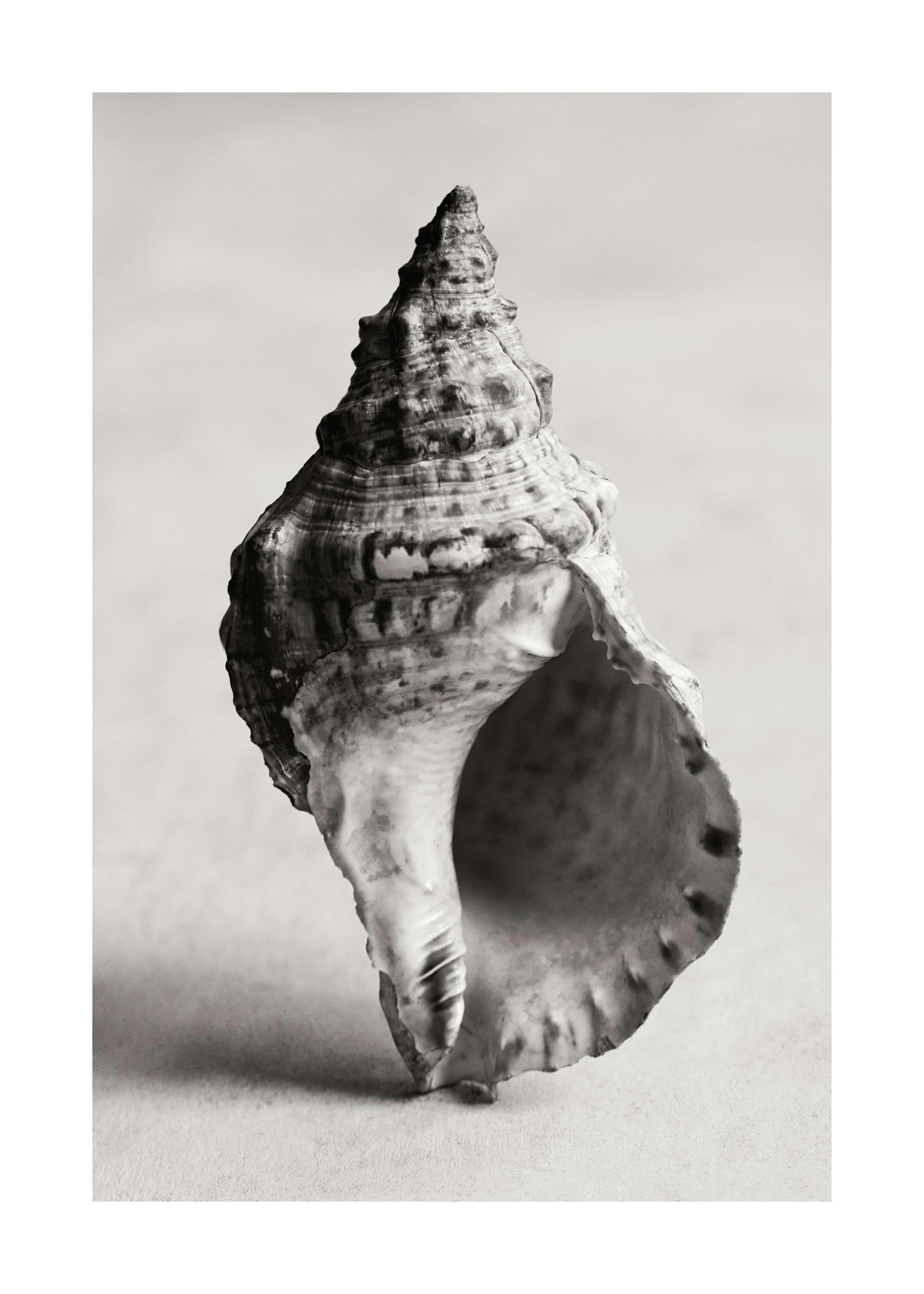 The Art of the Sea Poster 0